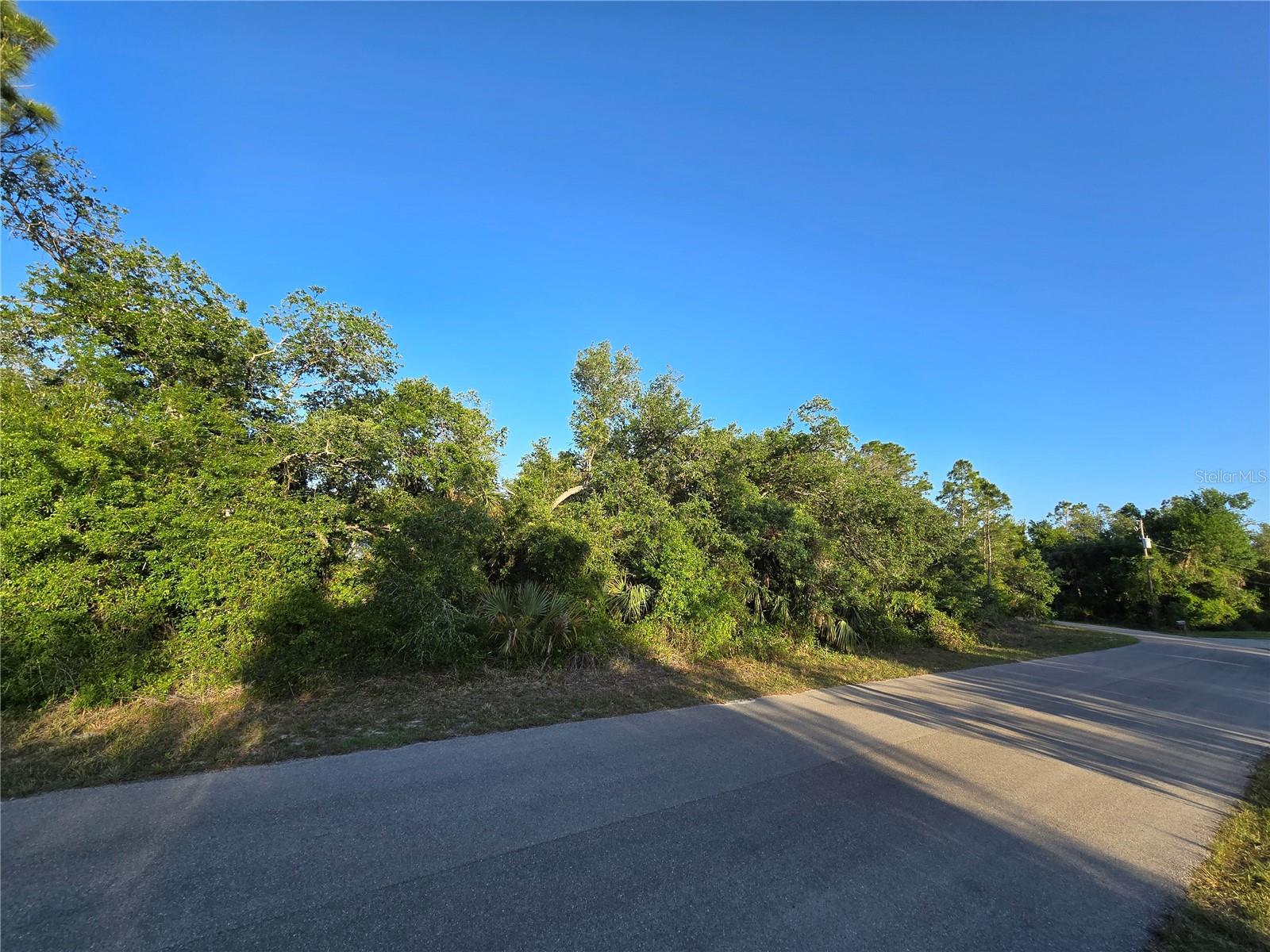 Waller Rd Property Photo