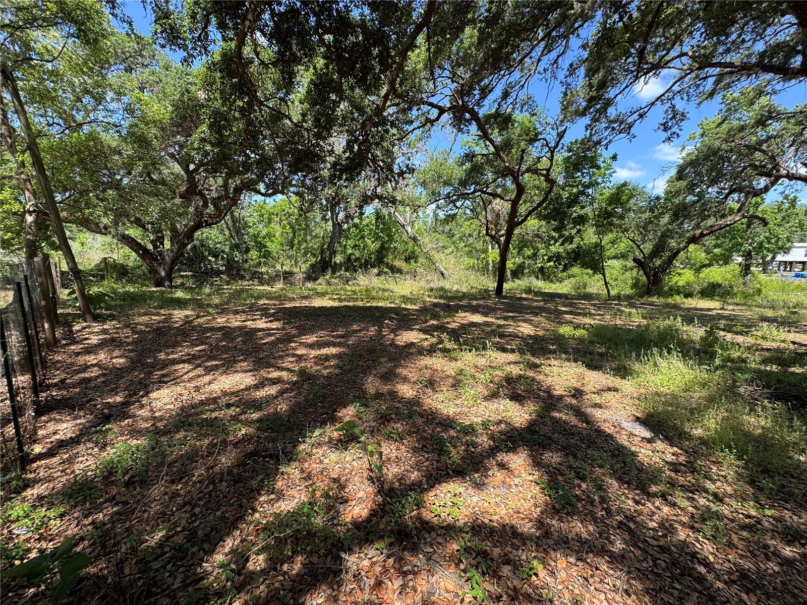 Turtle St Property Photo