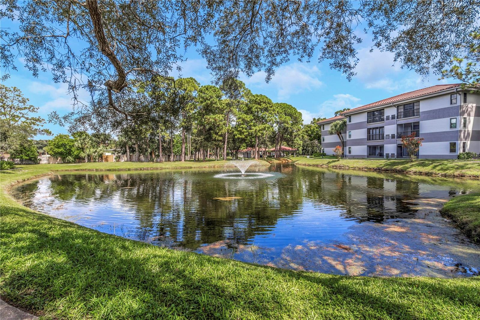 2650 Countryside Blvd #a104 Property Photo