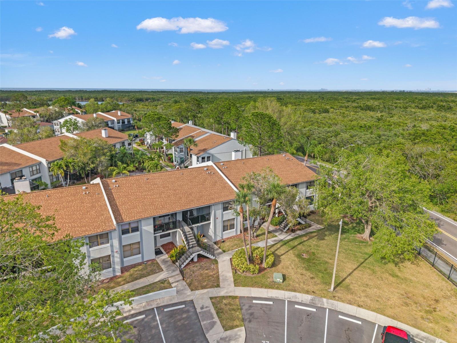 1930 Laughing Gull Ln #1225 Property Photo 1