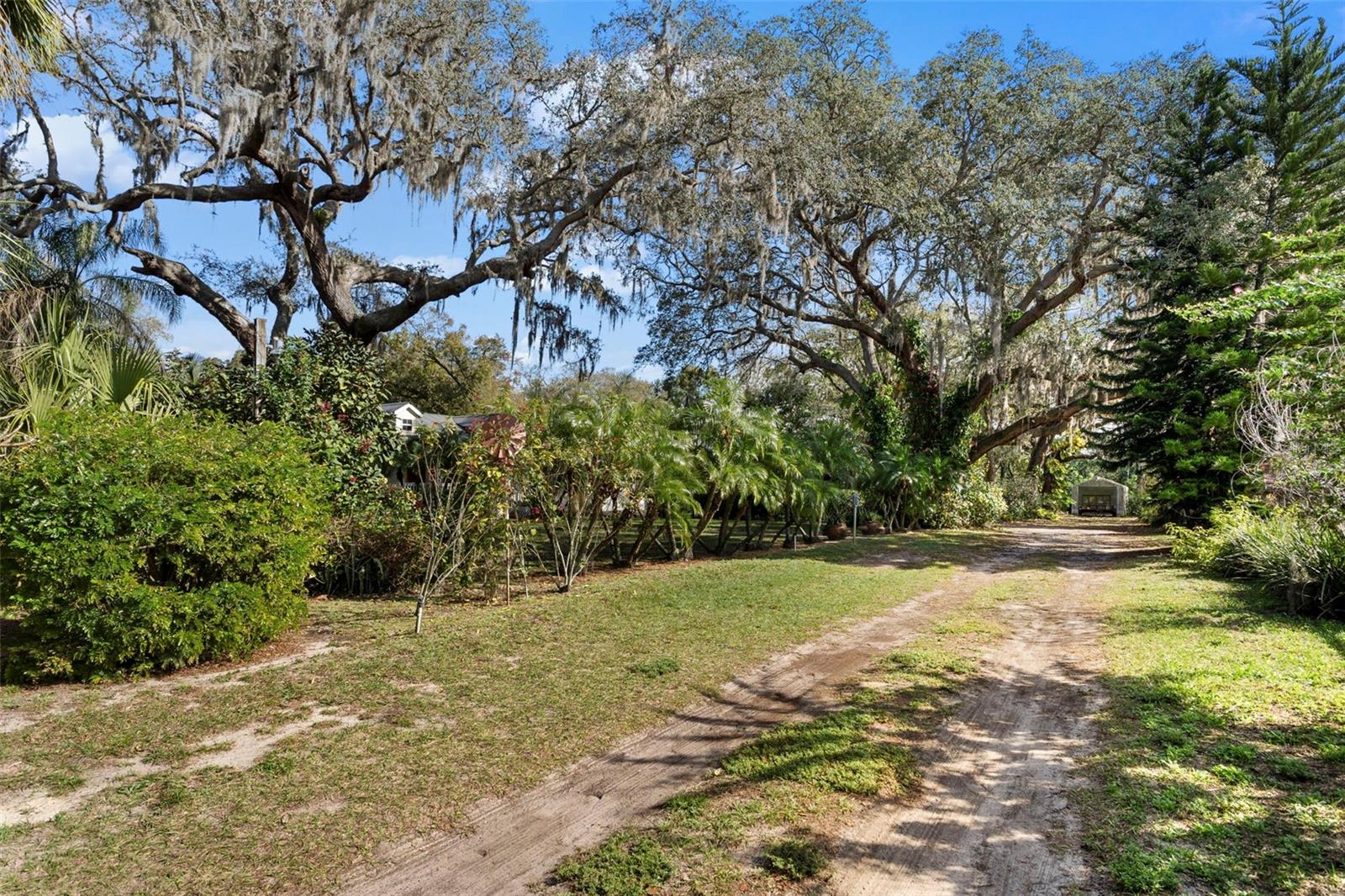 13015 Elm St Property Photo 30