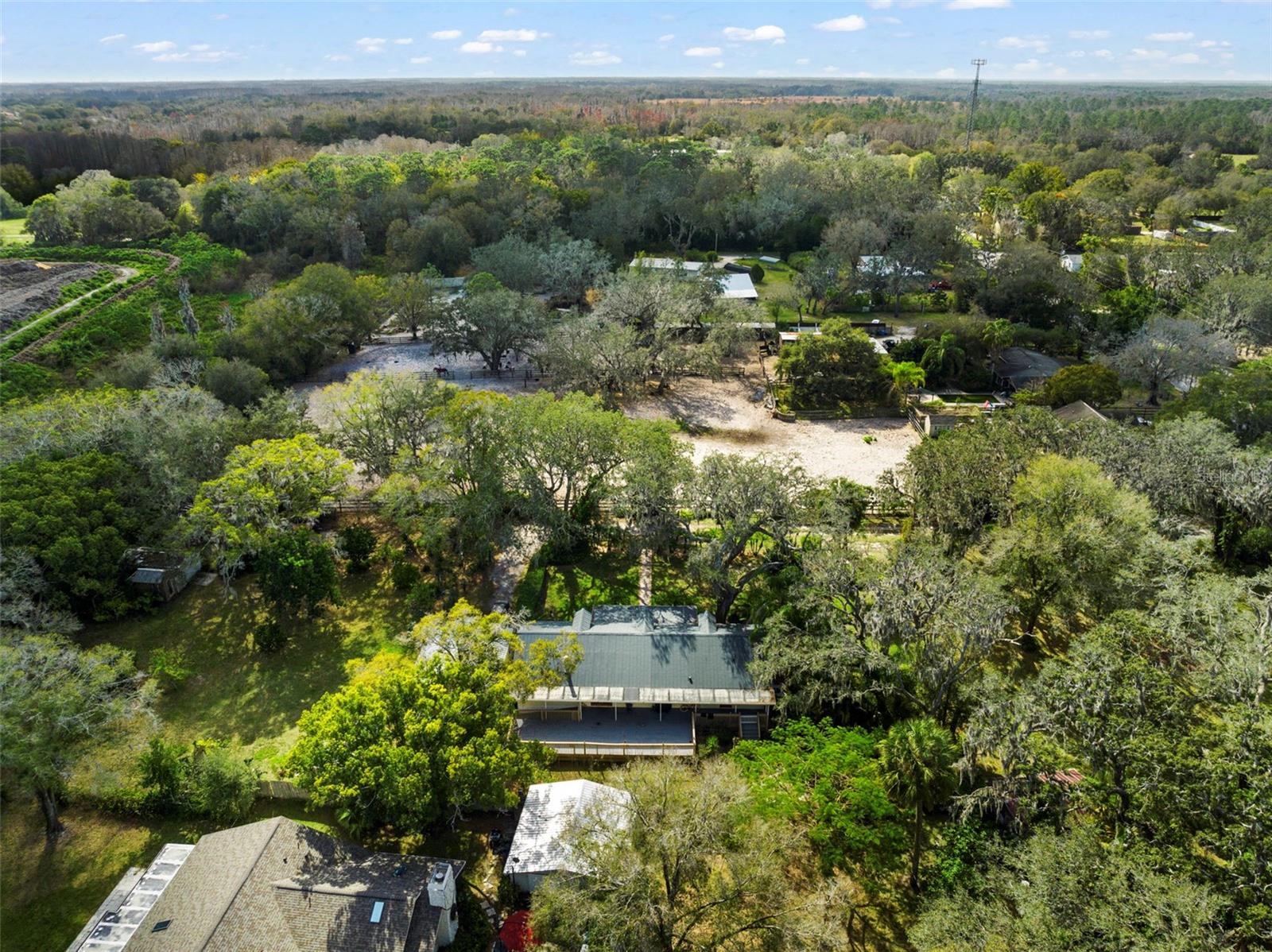 13015 Elm St Property Photo 41