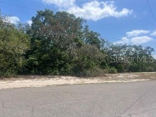 0 CLEARWATER DR Property Photo 1