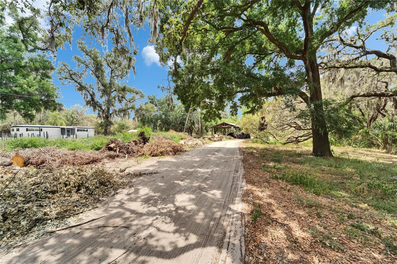 13907 Raulerson Rd #parcel A Property Photo 6