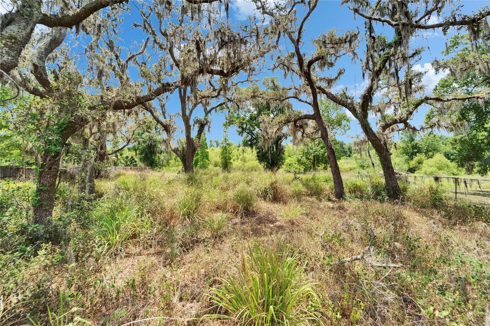 13907 Raulerson Rd #parcel A Property Photo 30