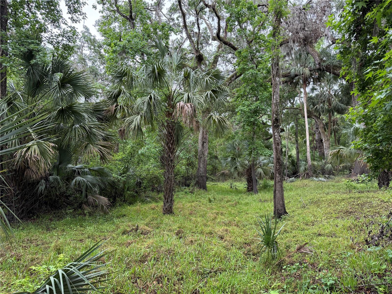 Lot #2 Coconut Cove Pl Property Photo