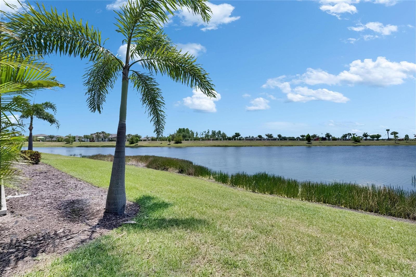 5814 Silver Sun Dr Property Photo 73
