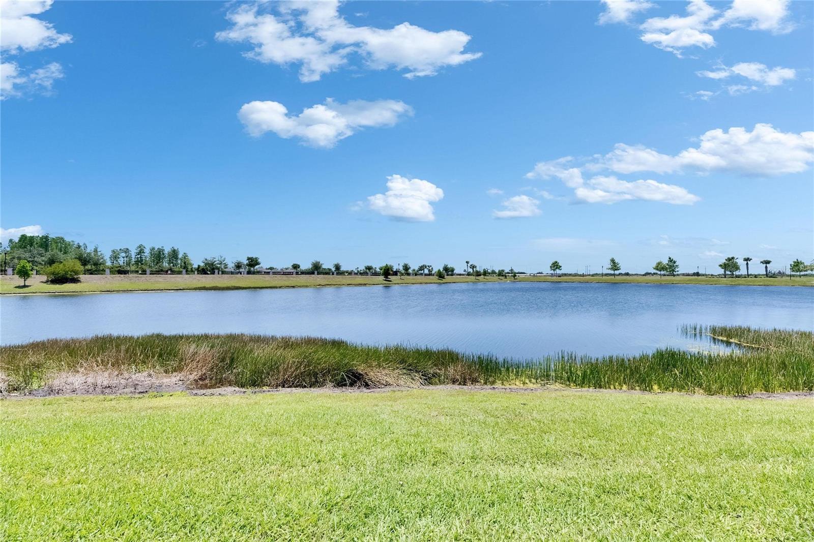 5814 Silver Sun Dr Property Photo 74