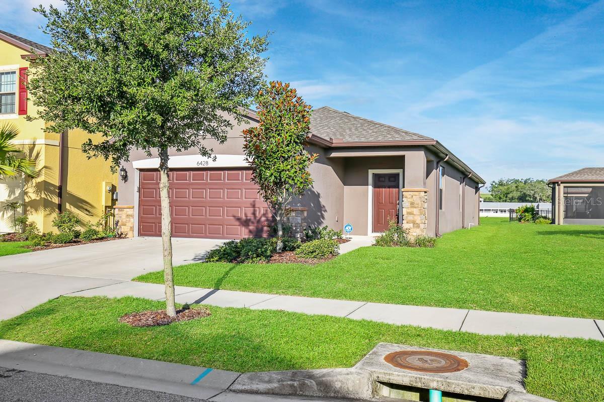 6428 Yellow Buckeye Dr Property Photo