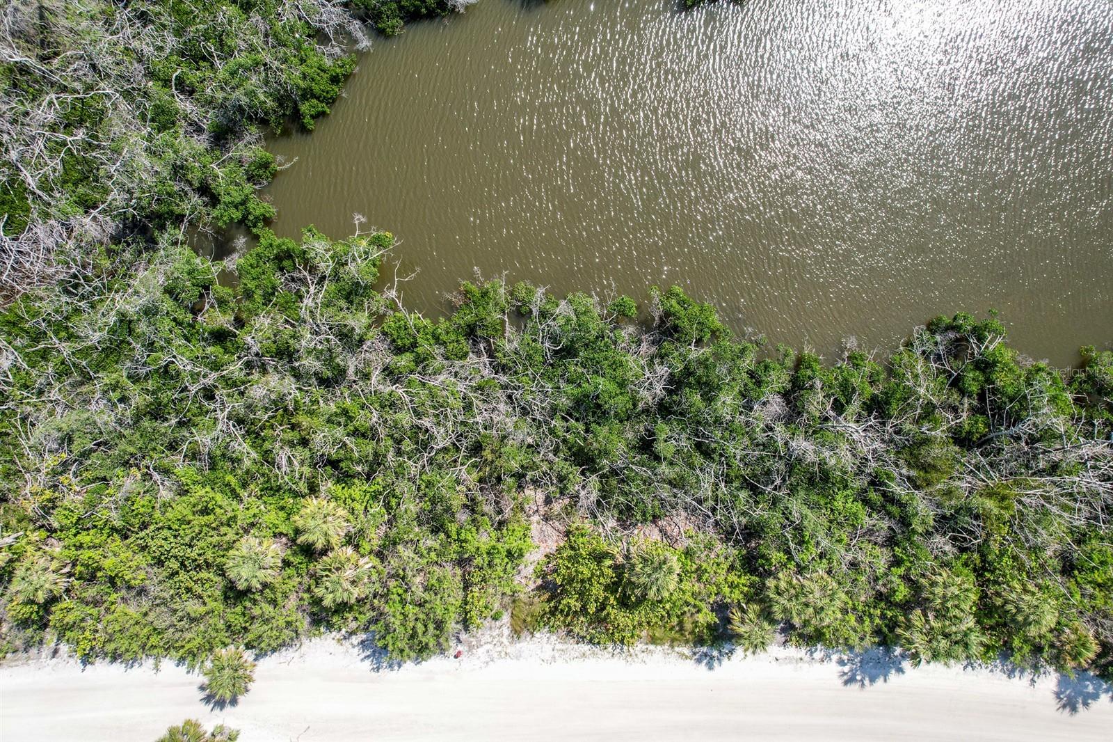6170 Rum Cove Dr Property Photo 3
