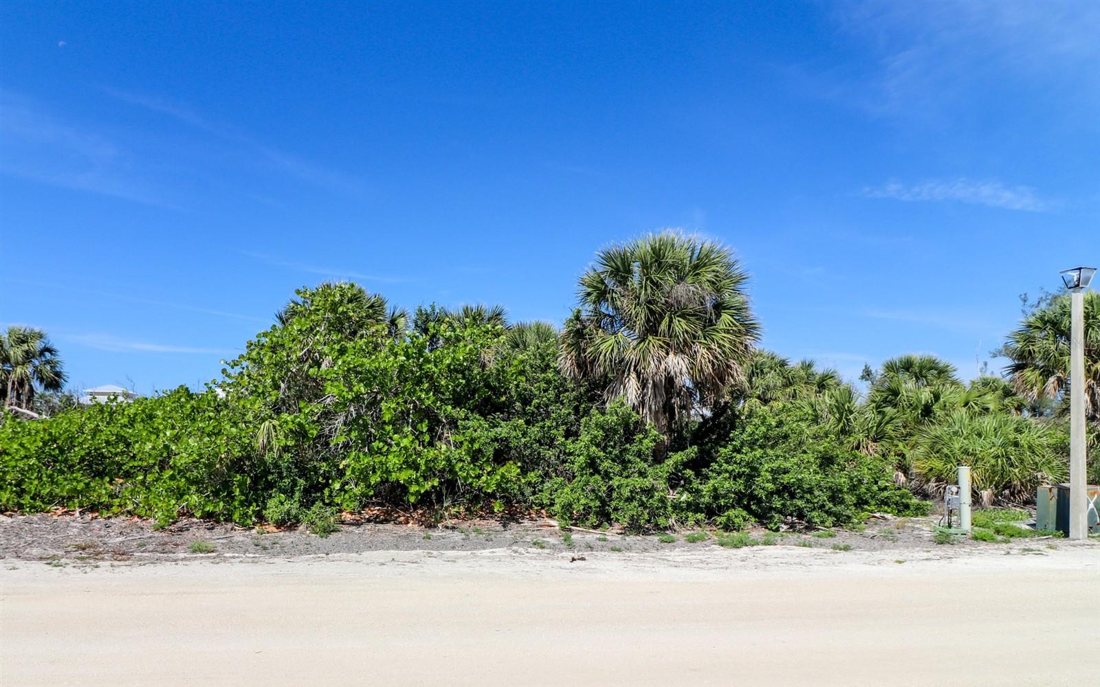 6170 Rum Cove Dr Property Photo 6