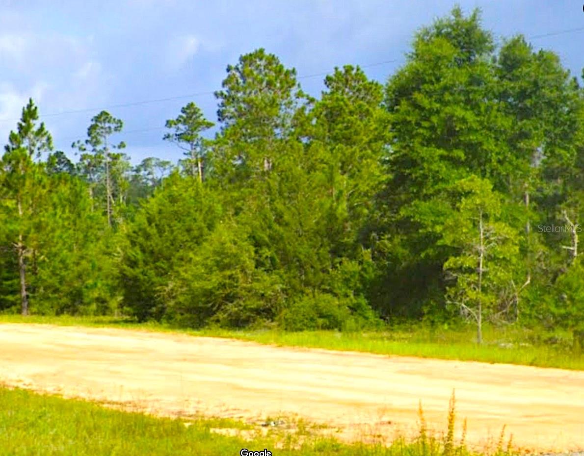 Cleveland Dr Property Photo