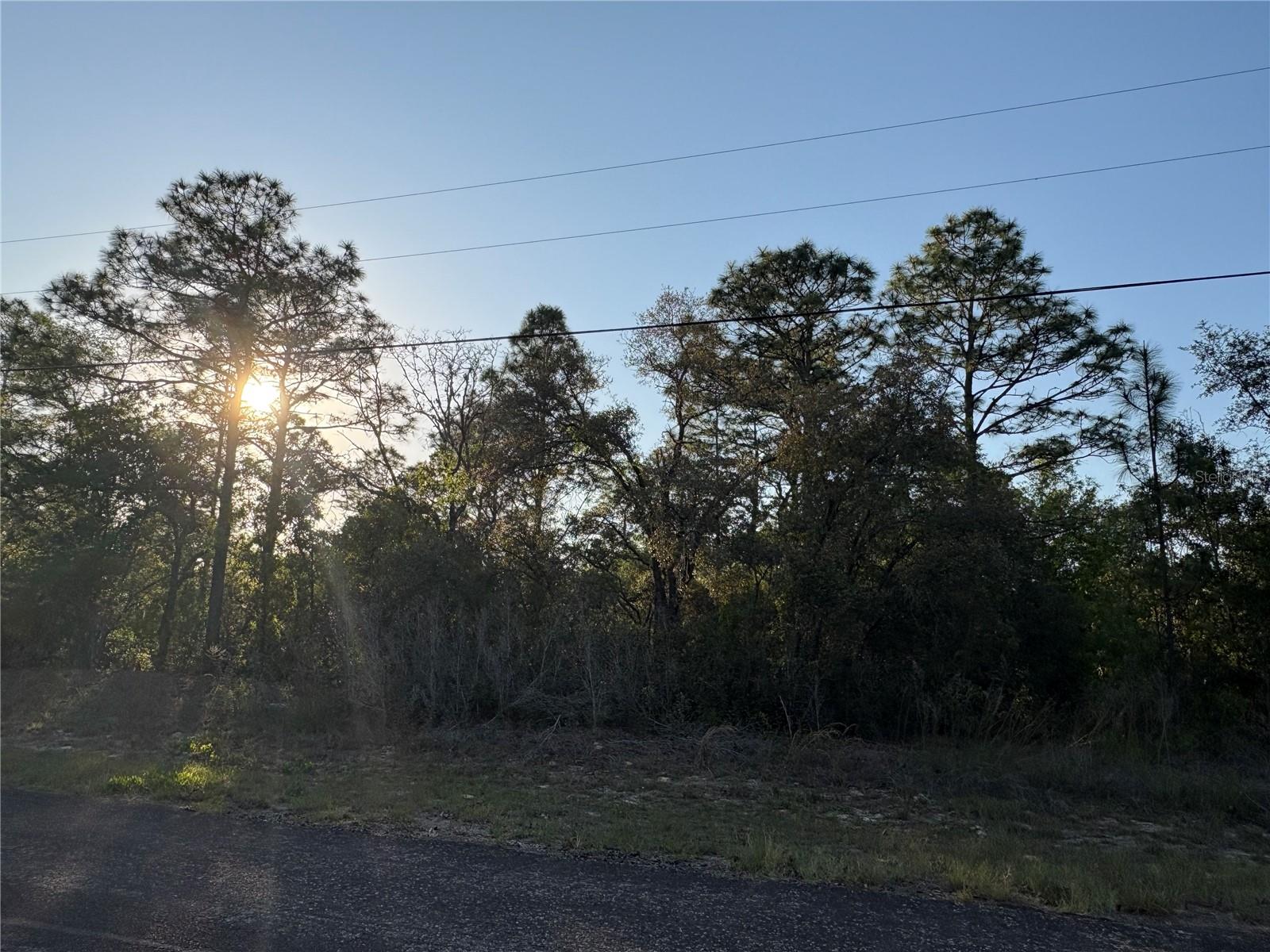 9172 N Marcus Way Property Photo 1