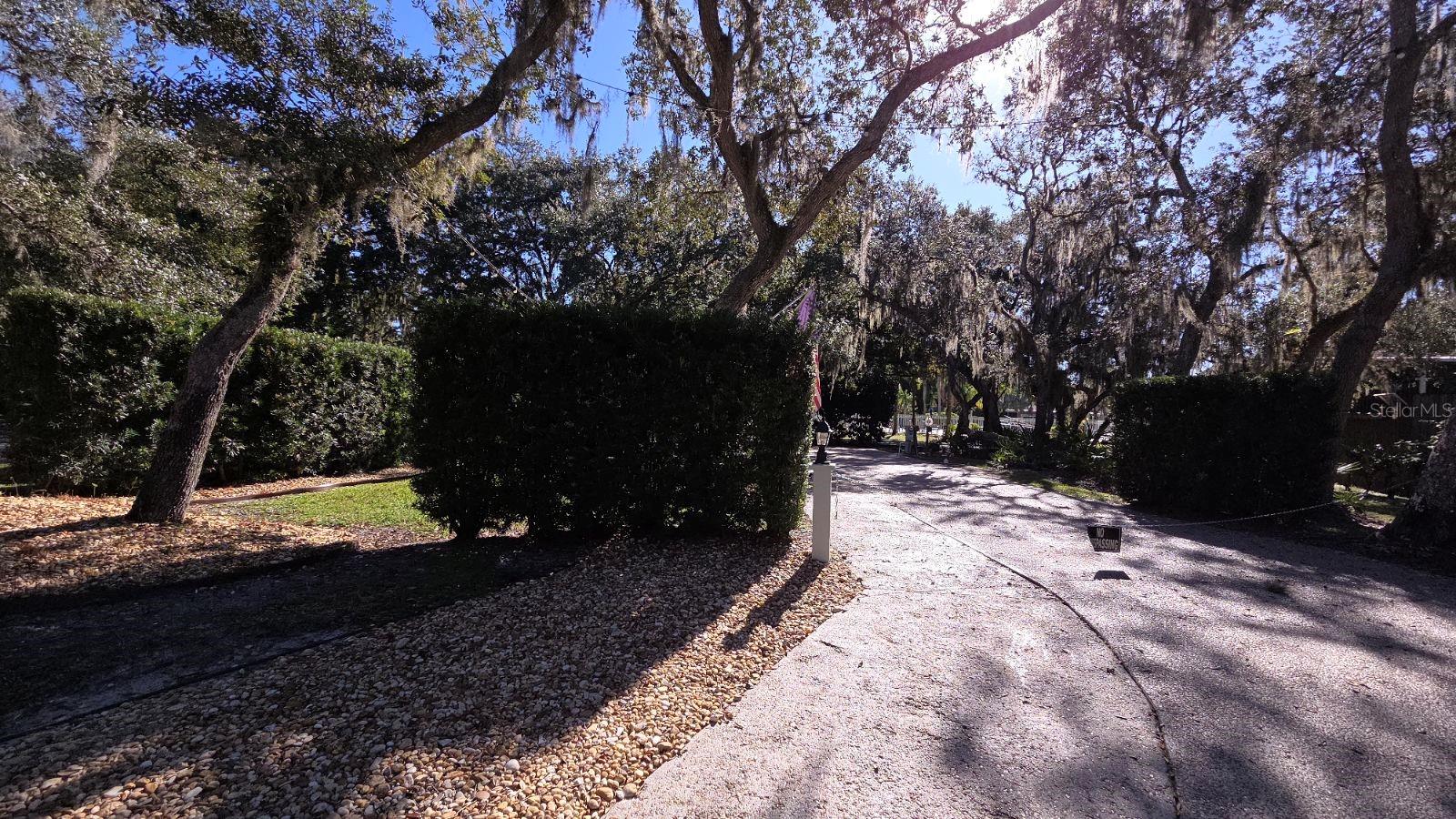 376 Bear Trl Property Photo 9