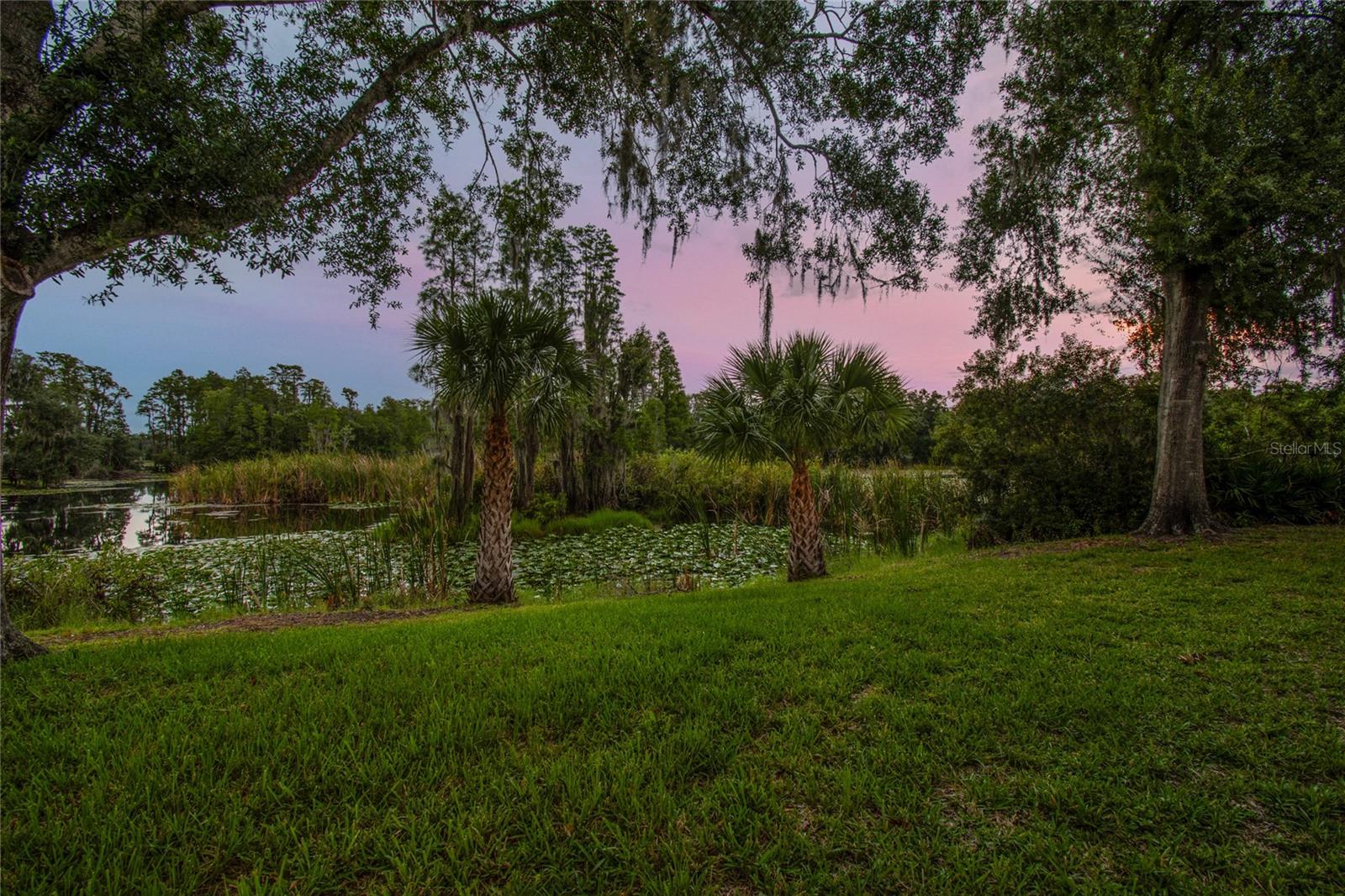 21859 State Road 54 Property Photo 48