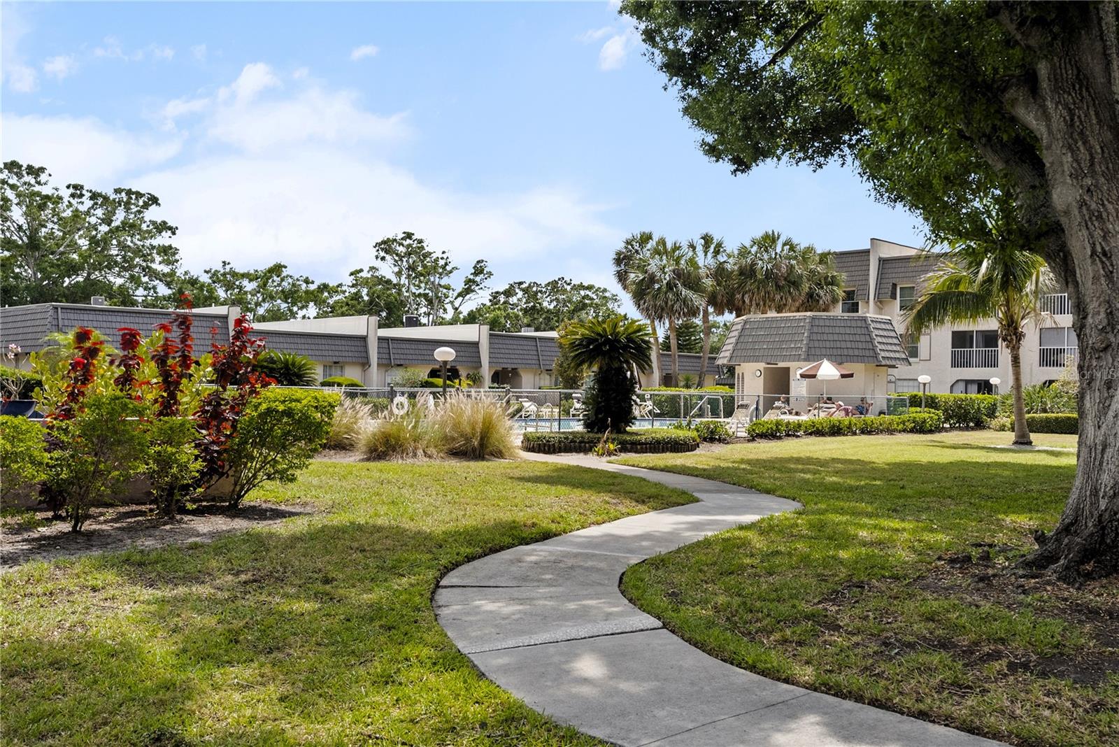 8703 Bardmoor Blvd #305 Property Photo 27