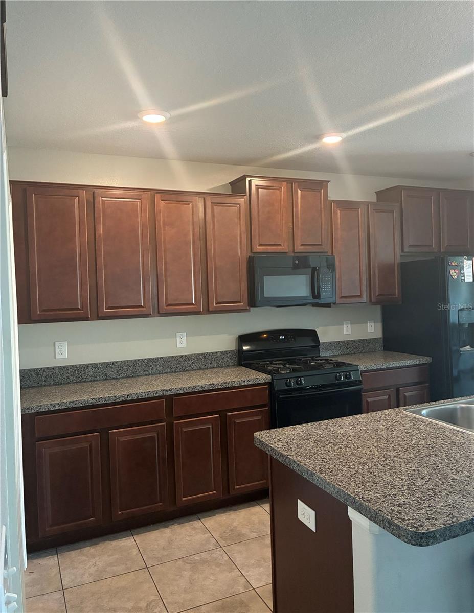 9616 Lemon Drop Loop Property Photo 11