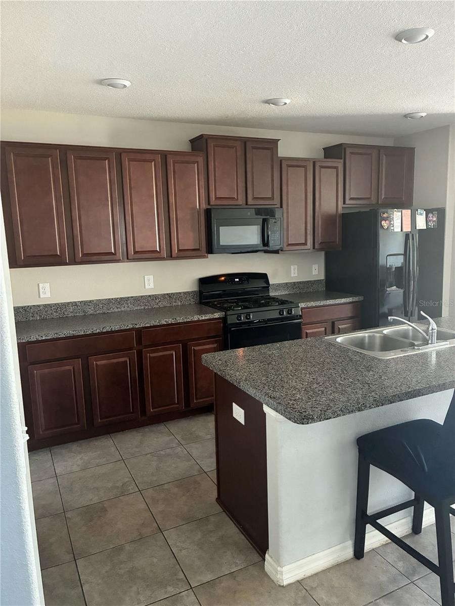 9616 Lemon Drop Loop Property Photo 12