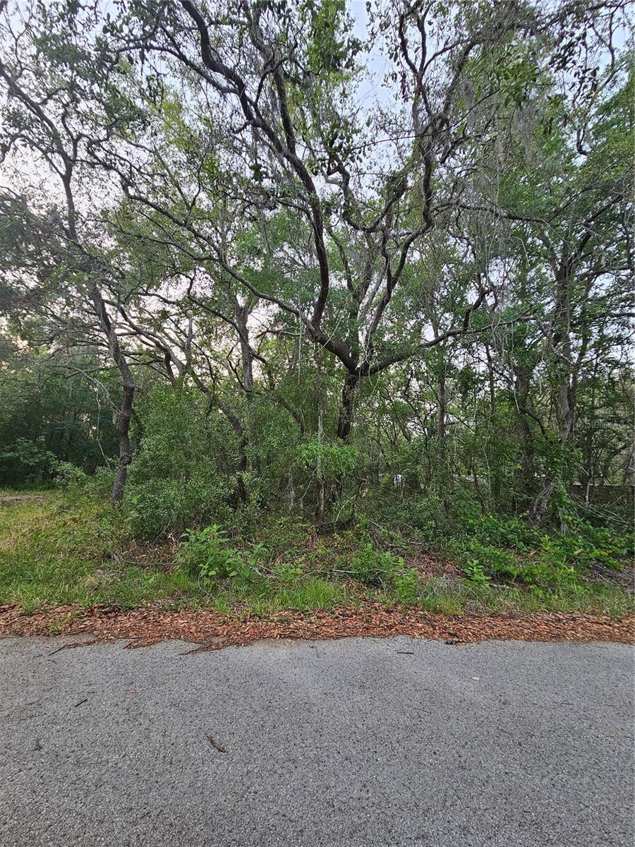 00 DOAKS ST Property Photo 1