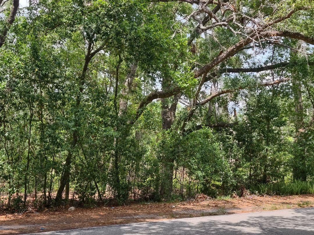 1819 Sinclair Hills Rd Property Photo 7