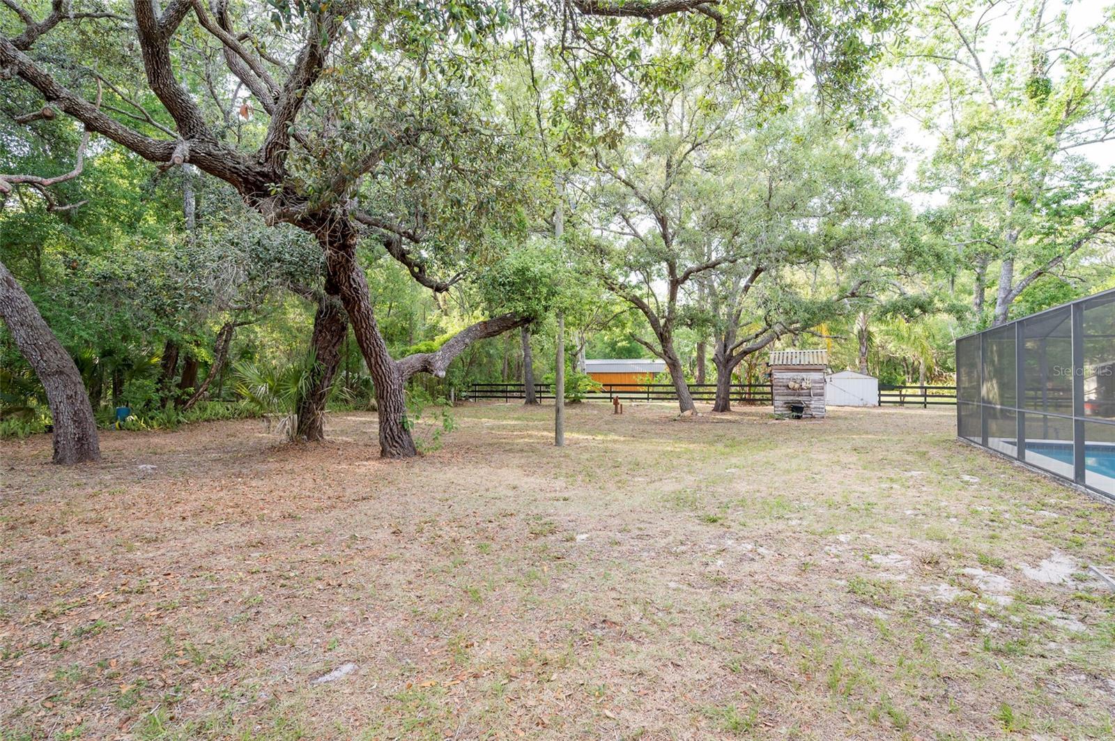 12311 Oakwood Dr Property Photo 37
