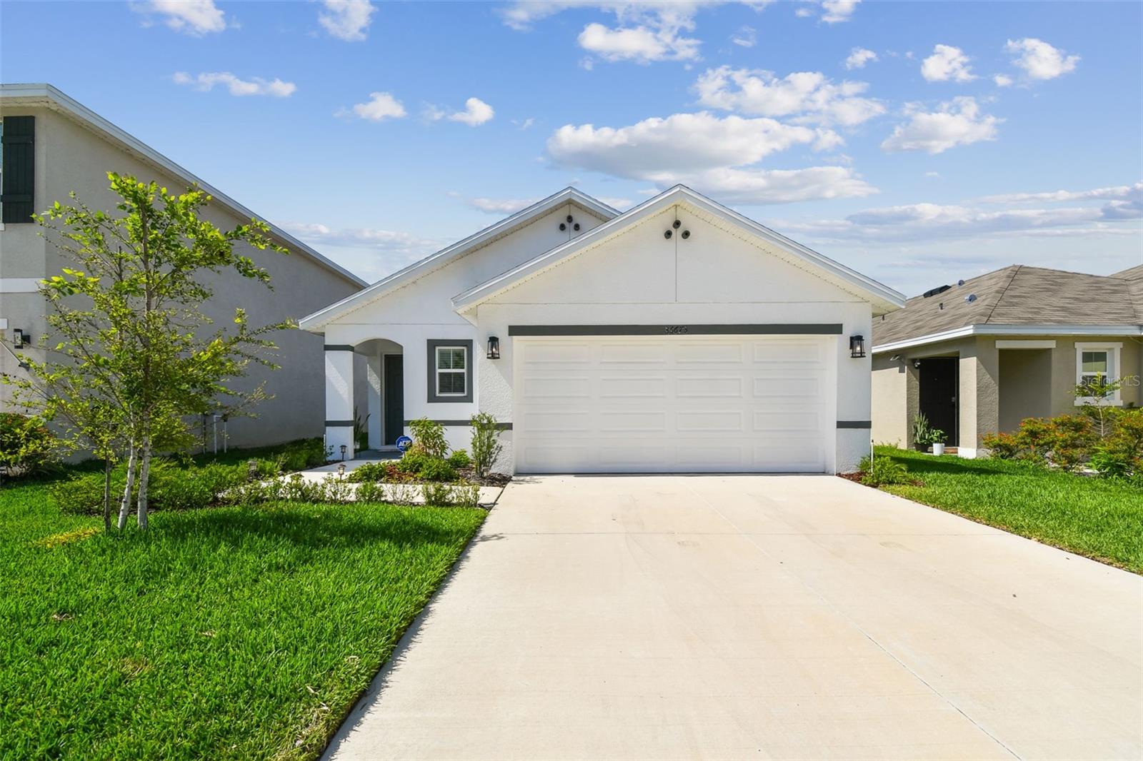 36673 Spanish Rose Dr Property Photo 19