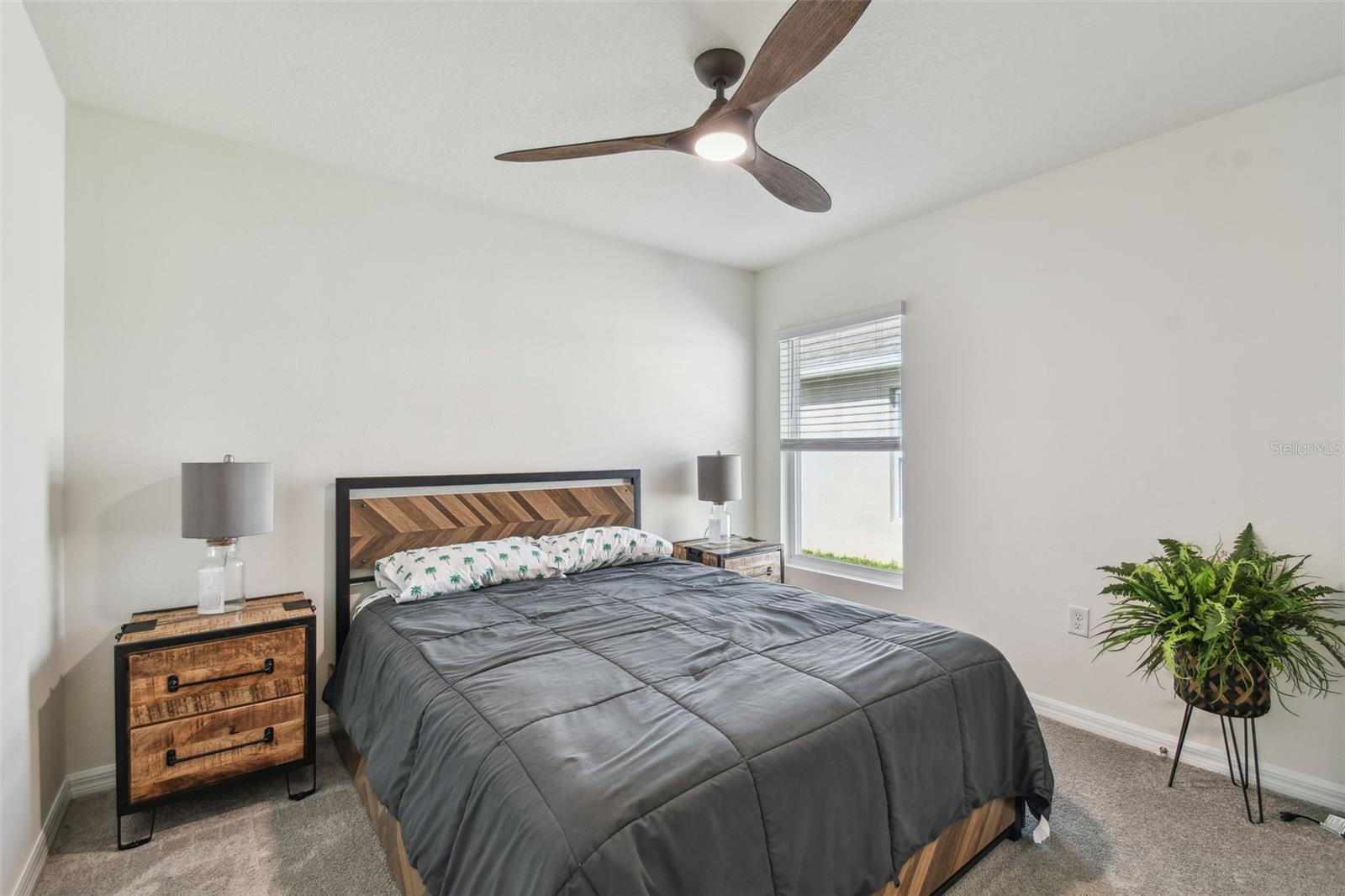 36673 Spanish Rose Dr Property Photo 20