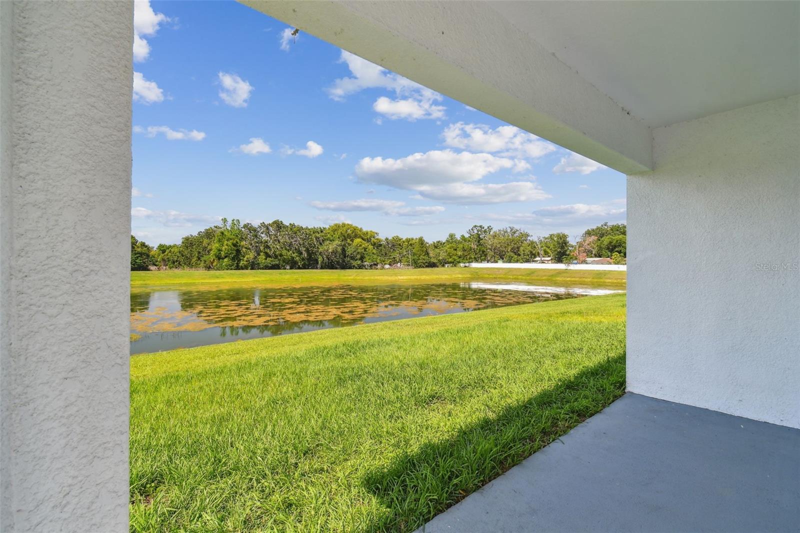 36673 Spanish Rose Dr Property Photo 61