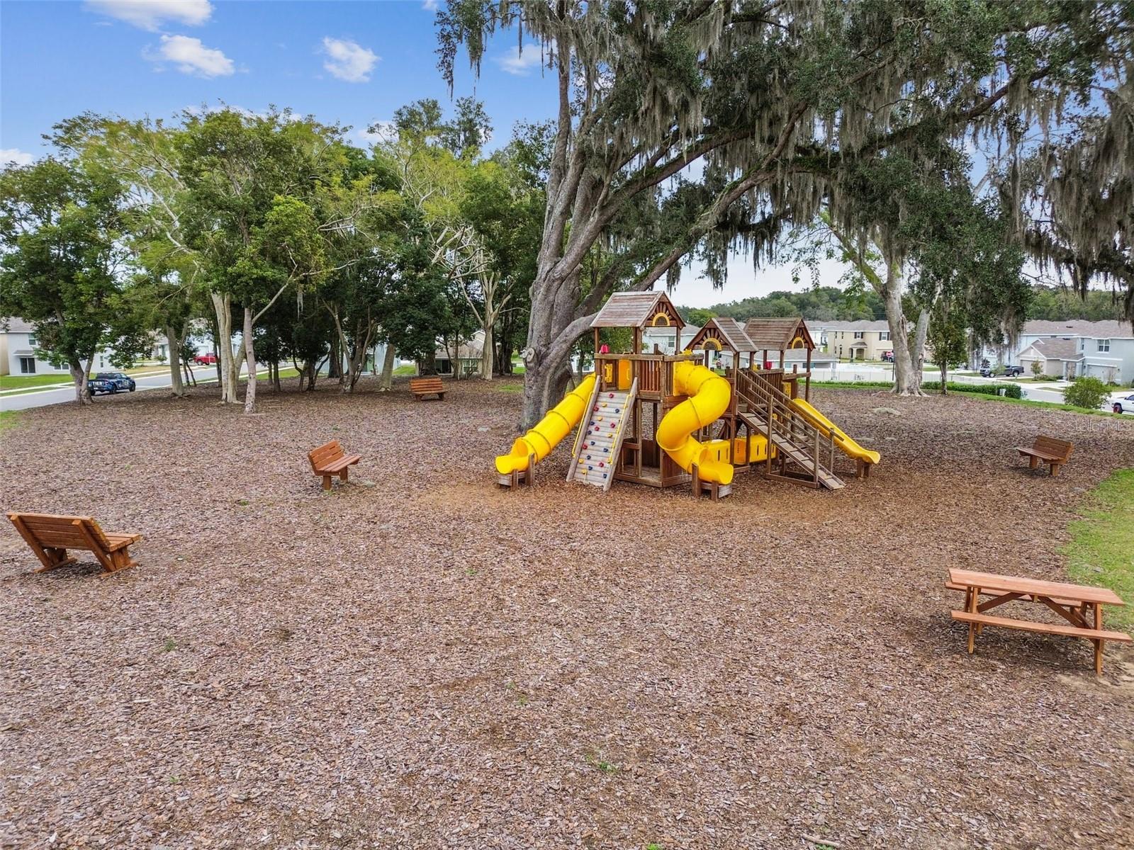 36673 Spanish Rose Dr Property Photo 82