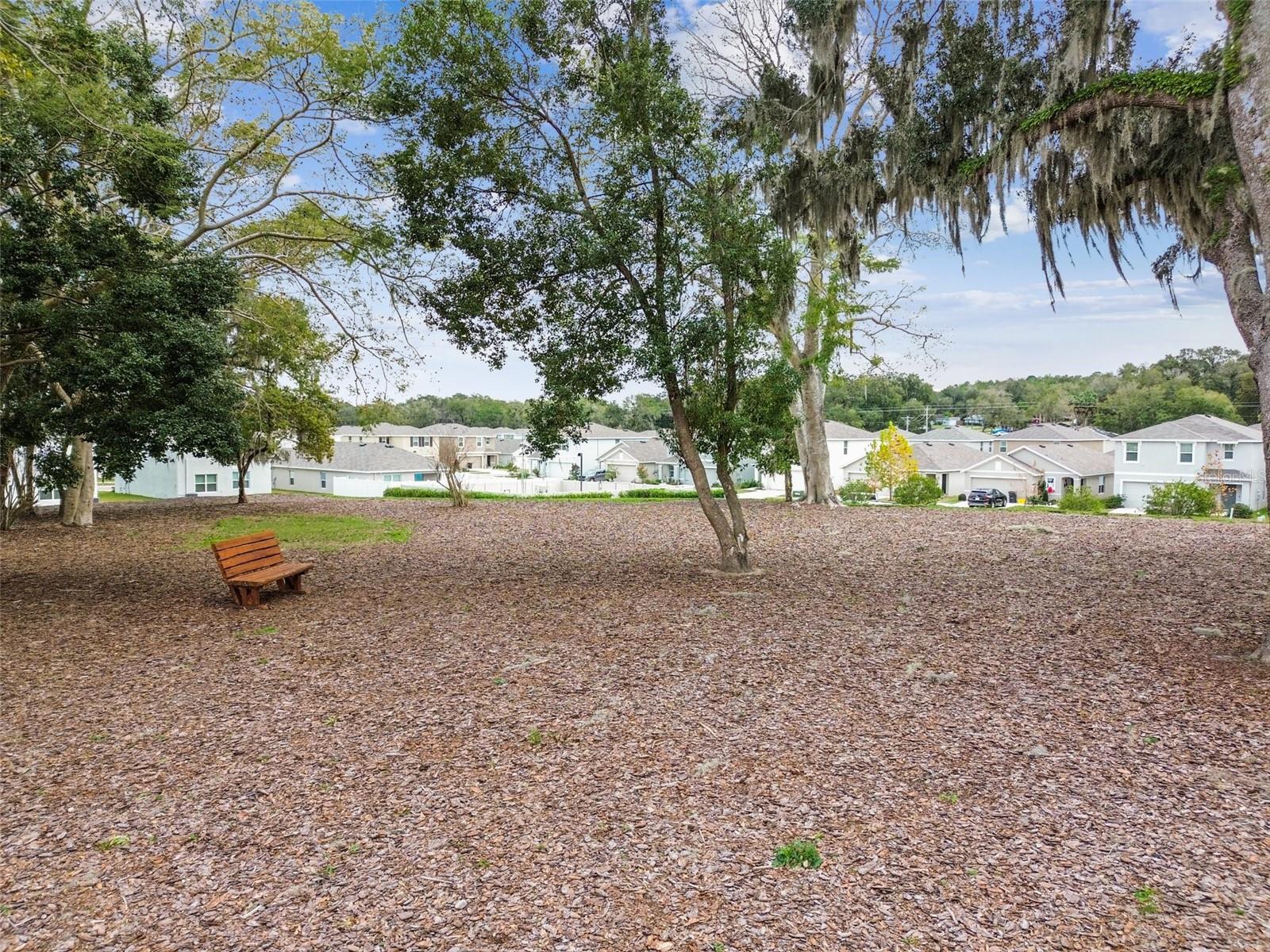 36673 Spanish Rose Dr Property Photo 84