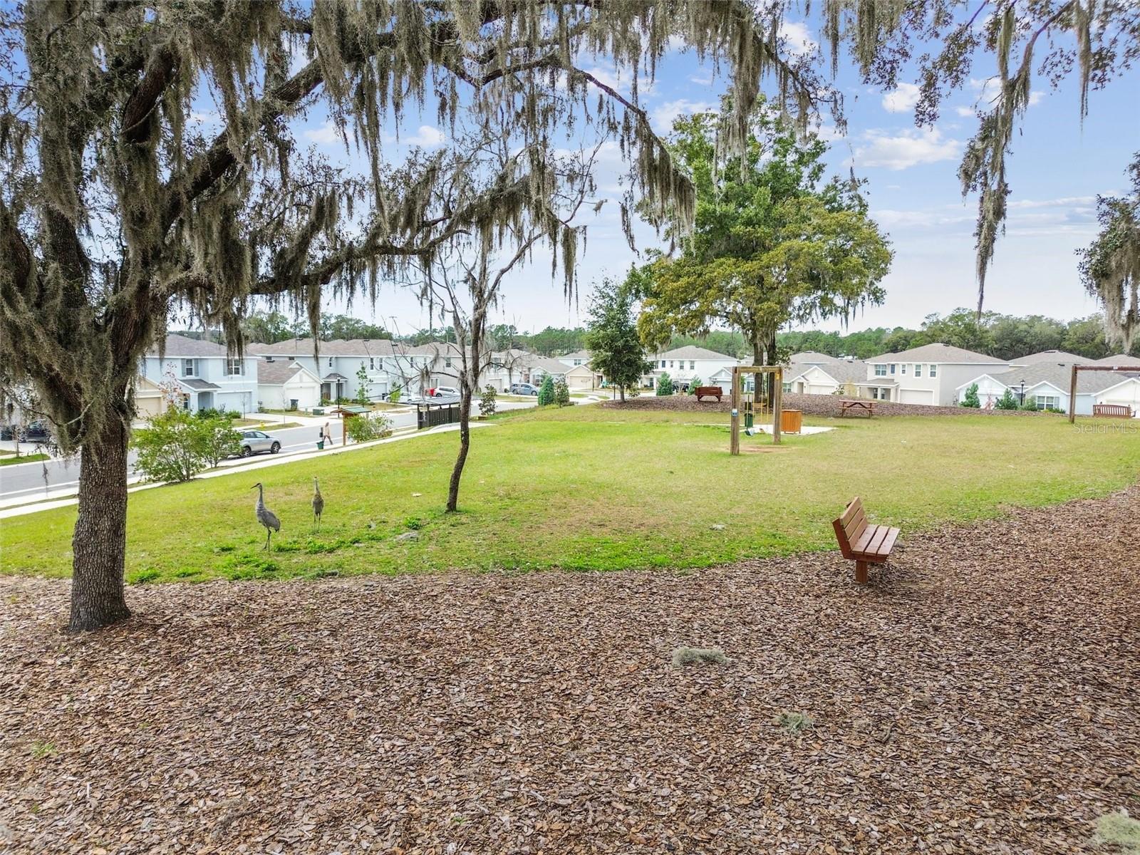 36673 Spanish Rose Dr Property Photo 85