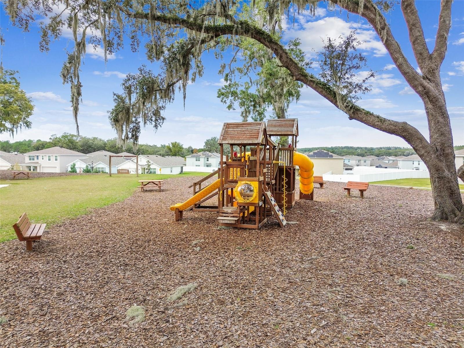 36673 Spanish Rose Dr Property Photo 86