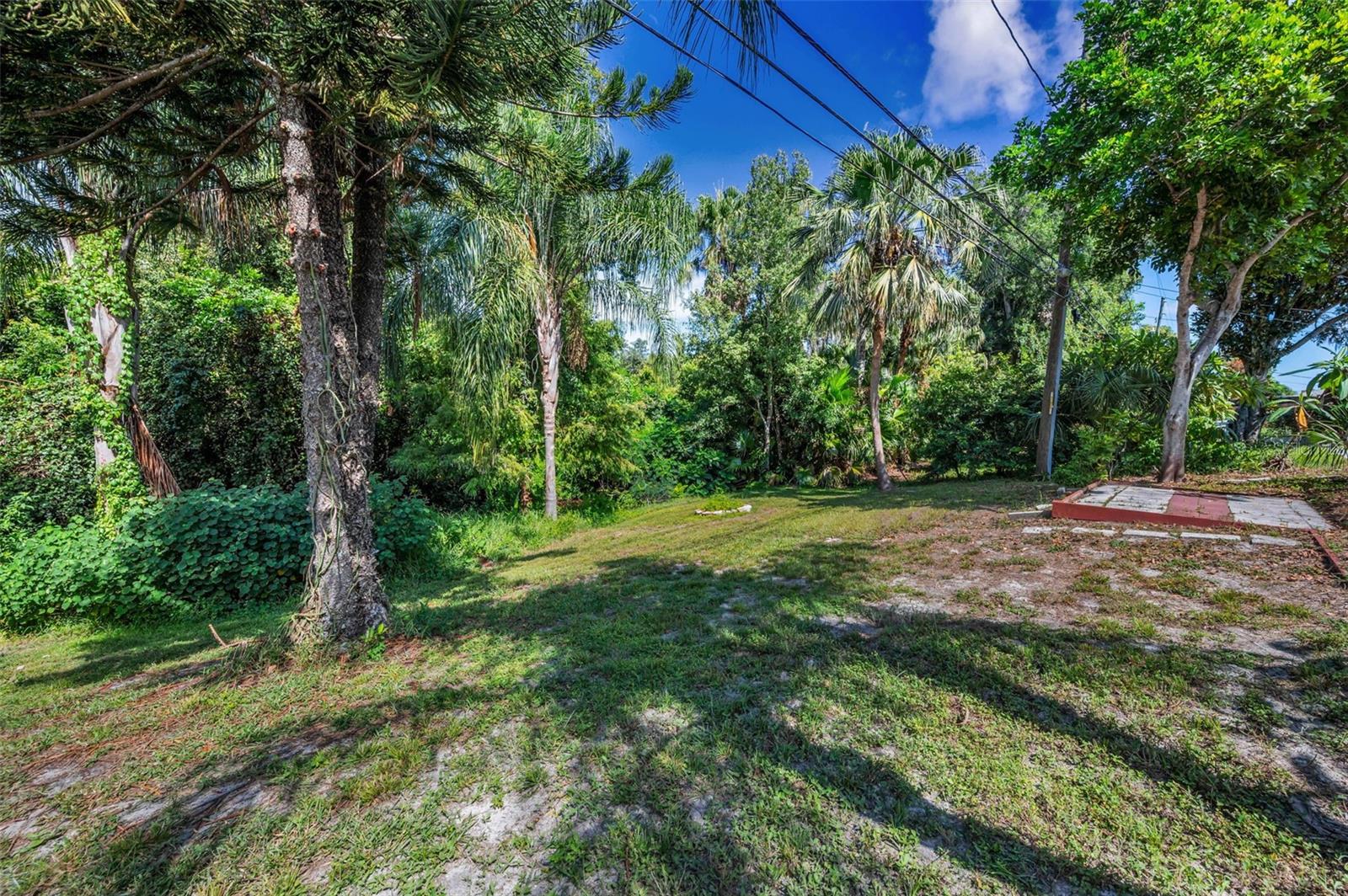 2485 Indigo Dr Property Photo 46