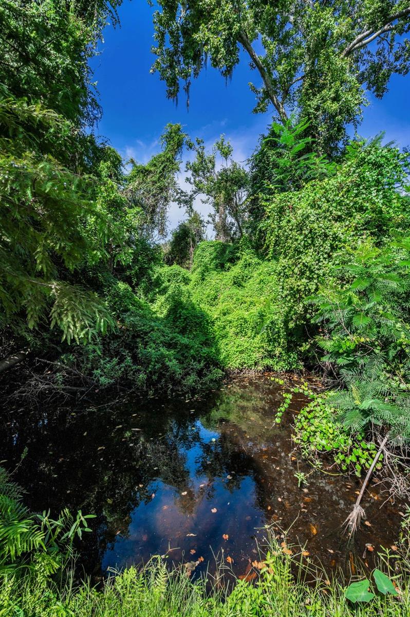 2485 Indigo Dr Property Photo 51