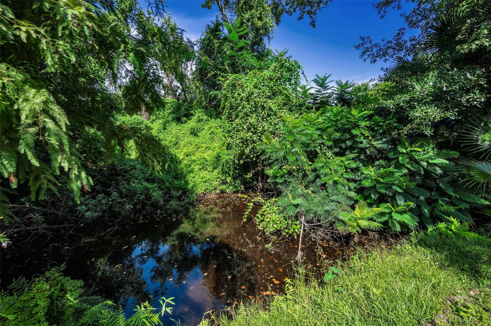 2485 Indigo Dr Property Photo 52