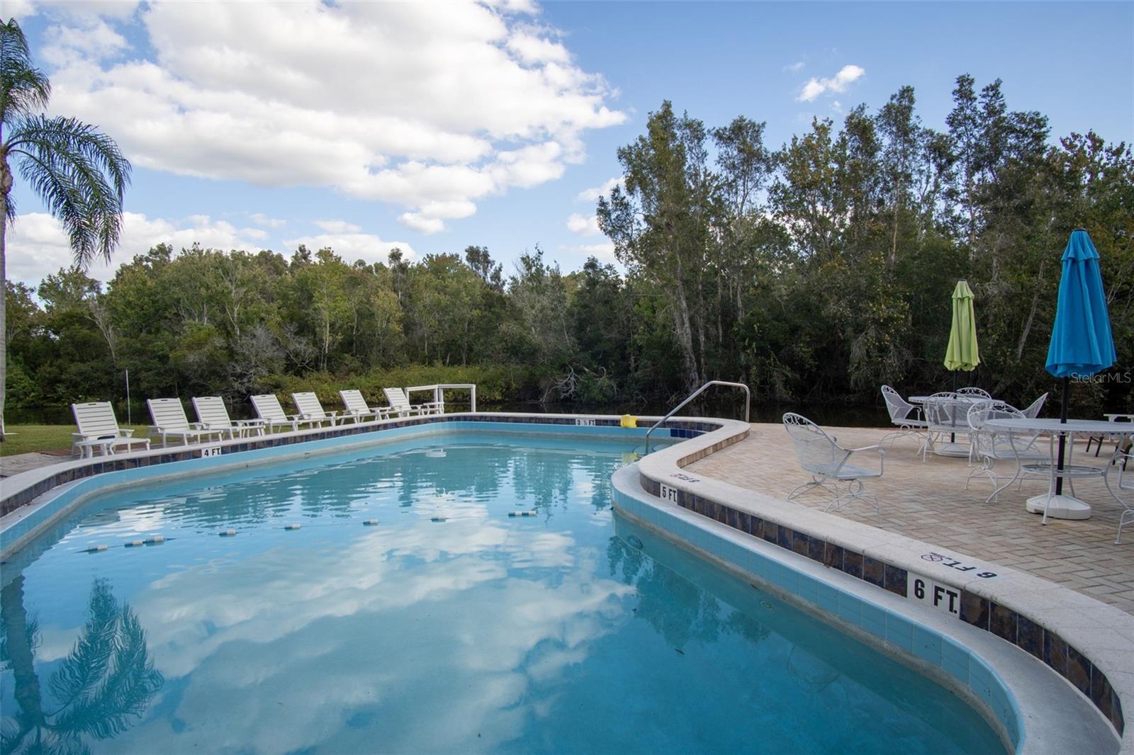 2533 Dolly Bay Dr #203 Property Photo 3