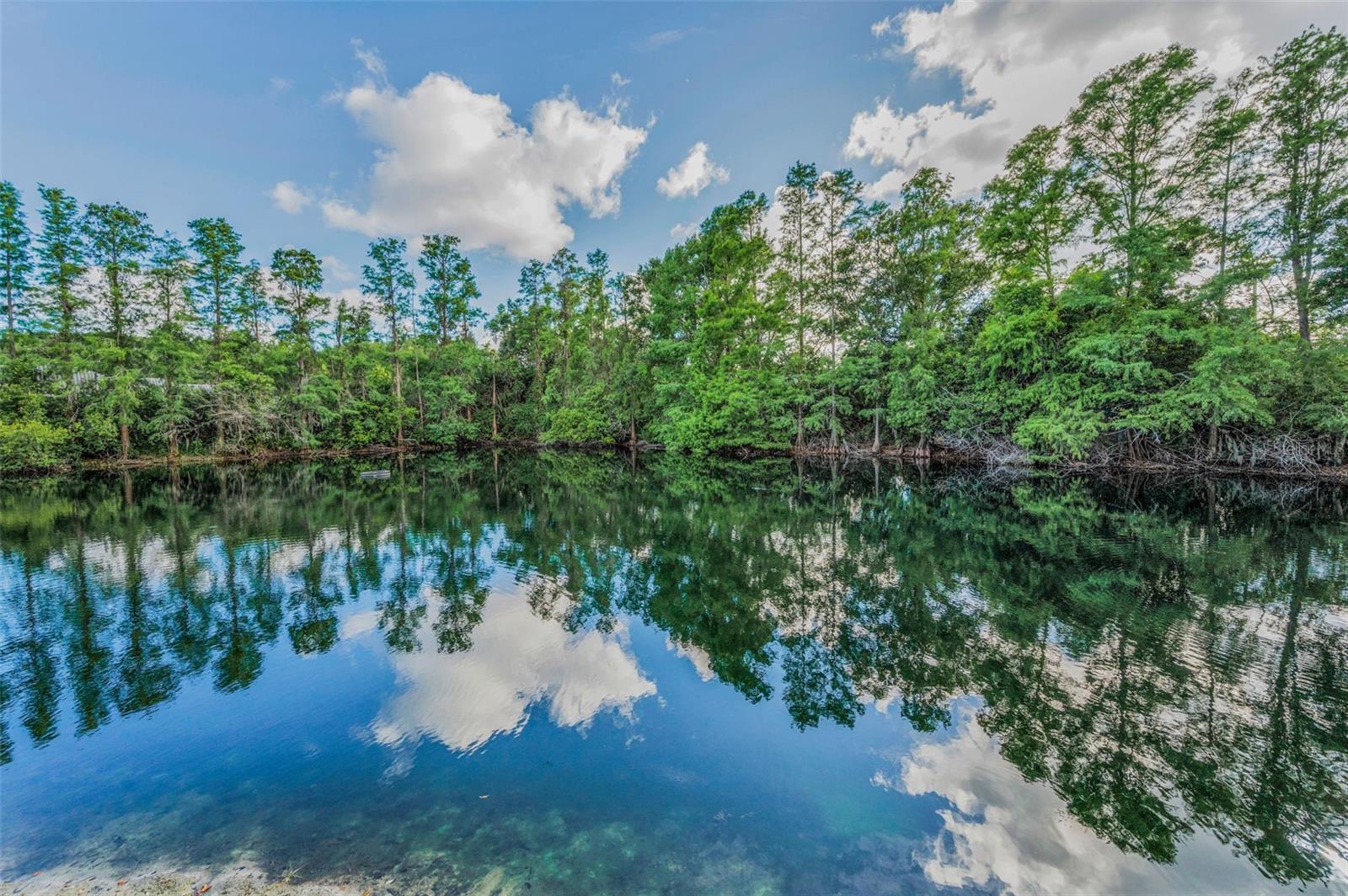 1802 Oak Ridge Rd Property Photo 59