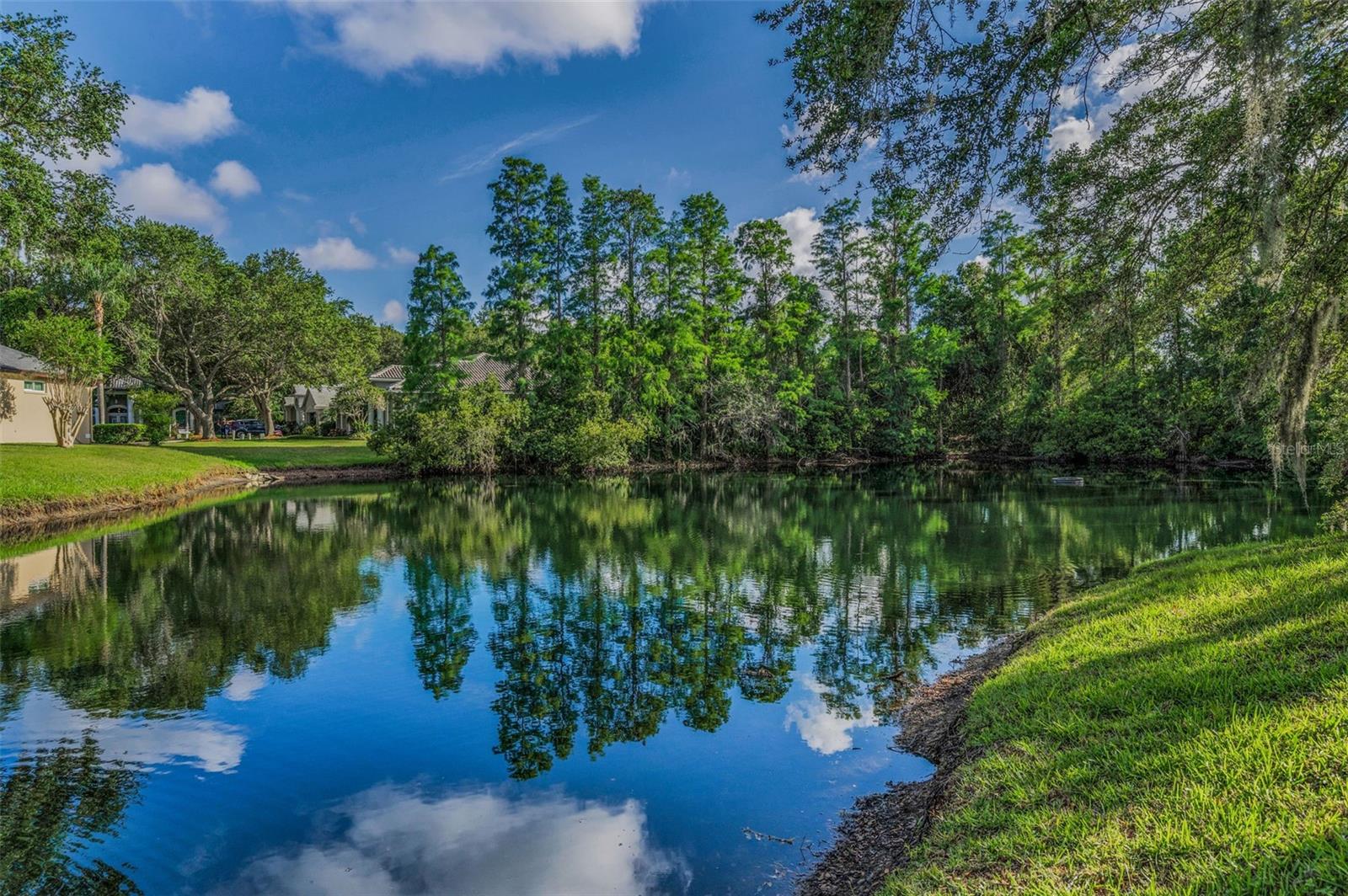 1802 Oak Ridge Rd Property Photo 62