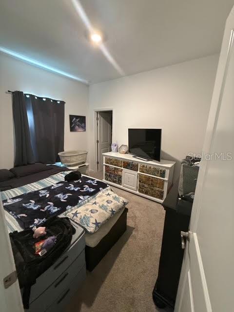 10607 Ladybug Cv Property Photo 18