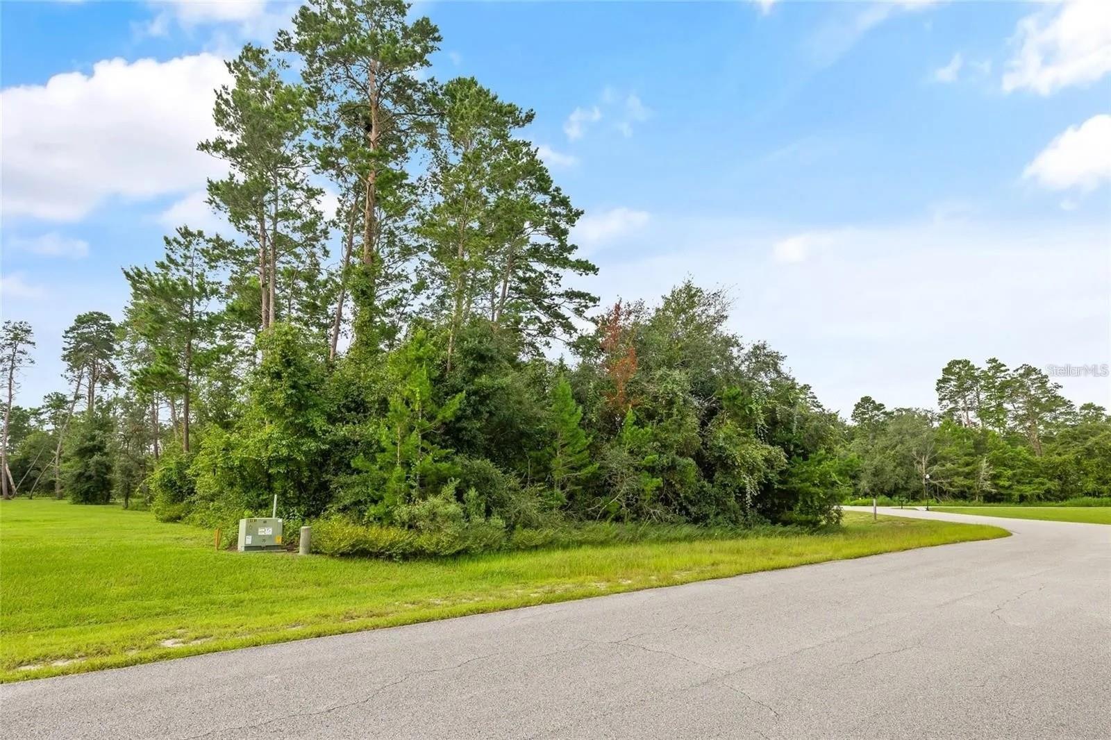 13615 Gopher Pond Ct Property Photo