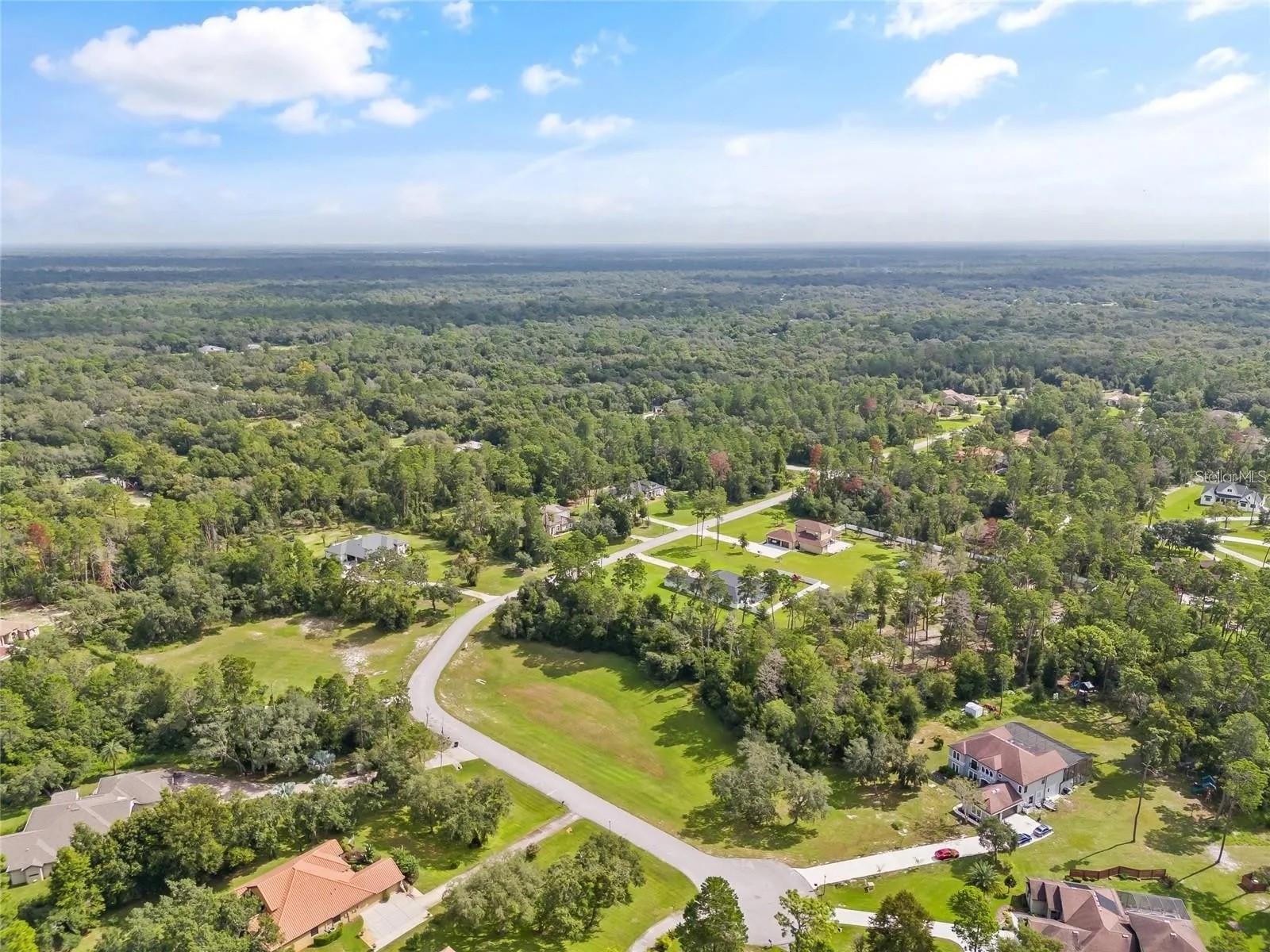 13615 Gopher Pond Ct Property Photo 11