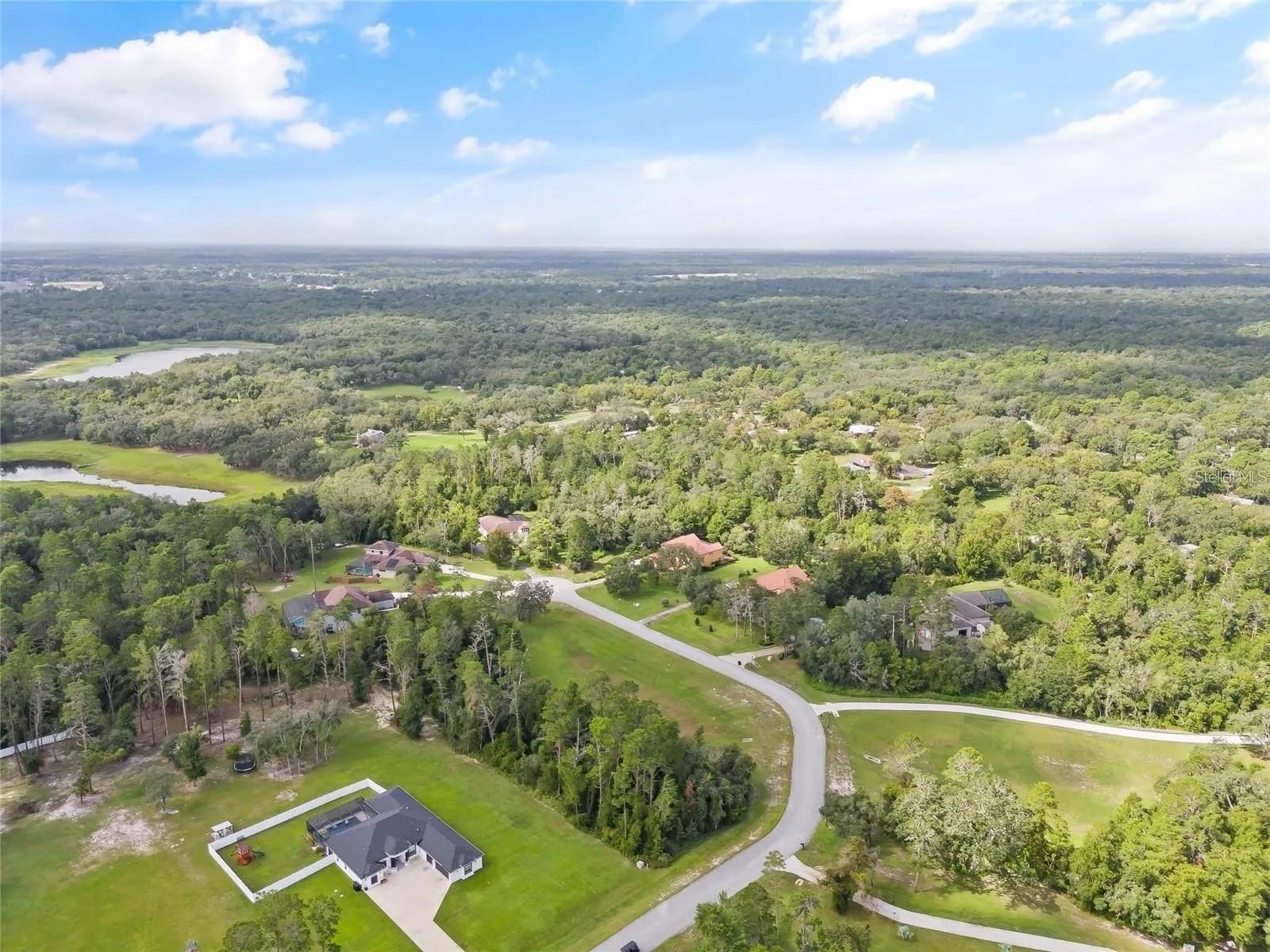 13615 Gopher Pond Ct Property Photo 13