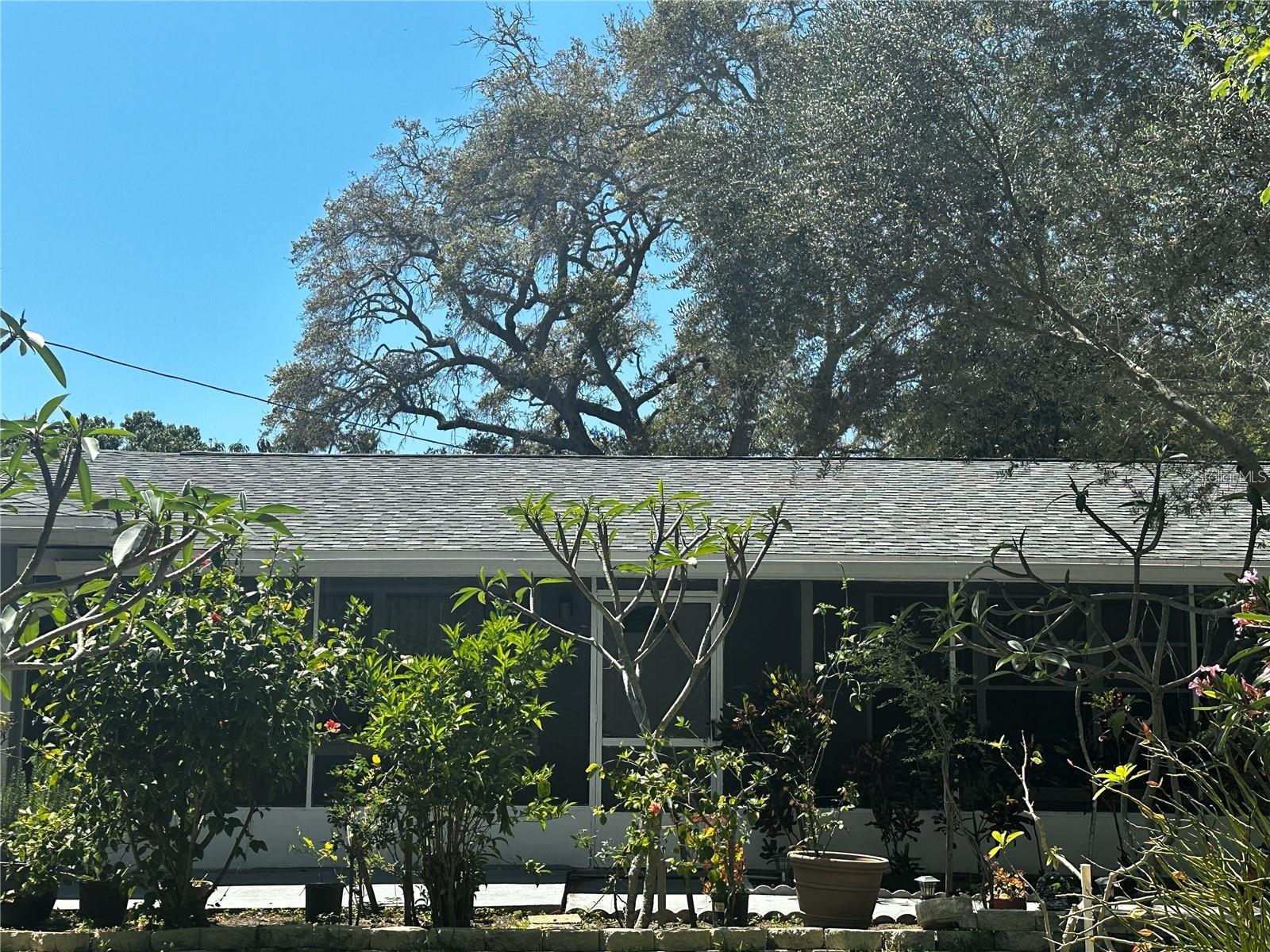 1818 San Mateo Dr Property Photo
