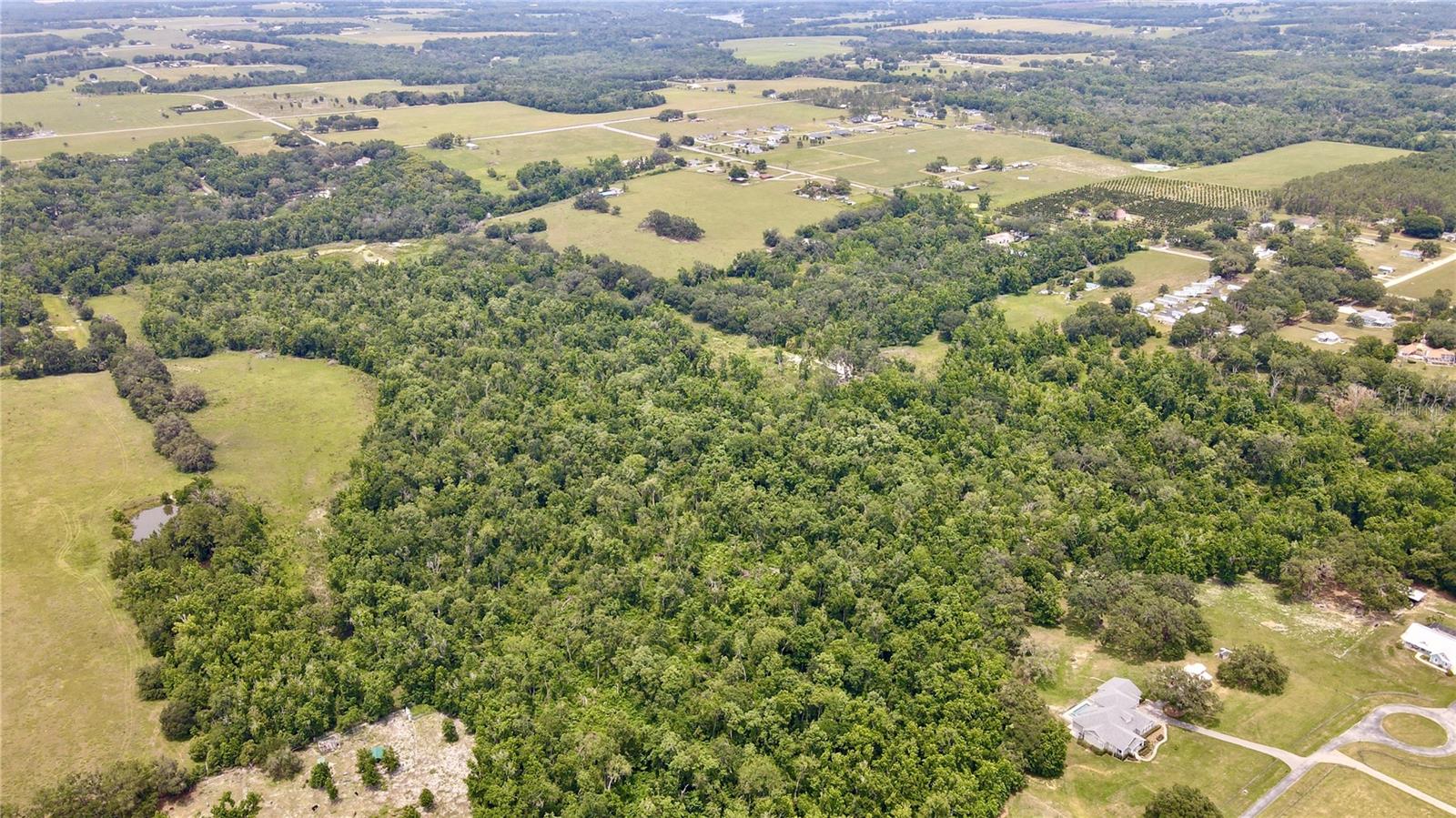 14409 Curley Rd Property Photo 6