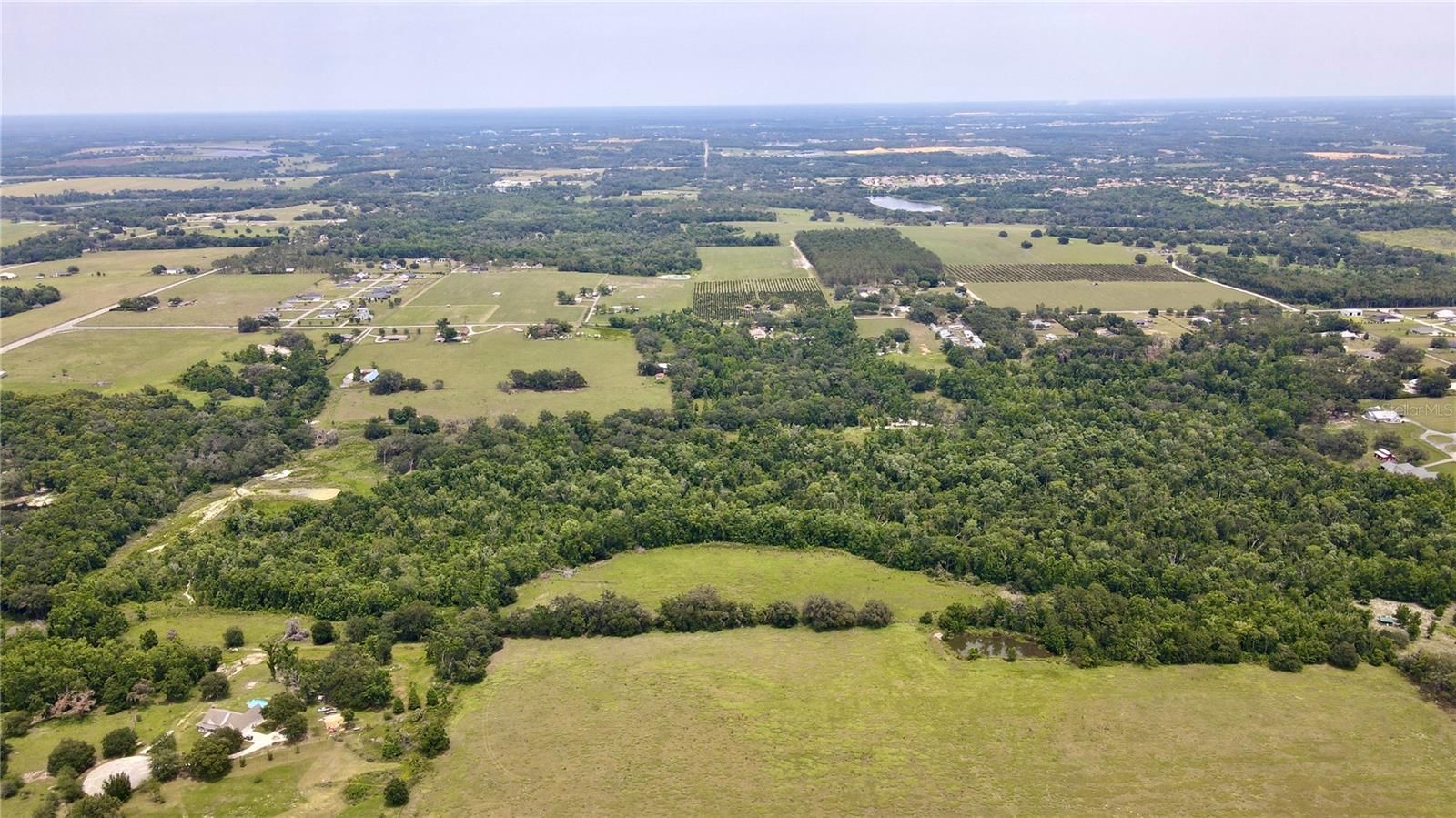 14409 Curley Rd Property Photo 7