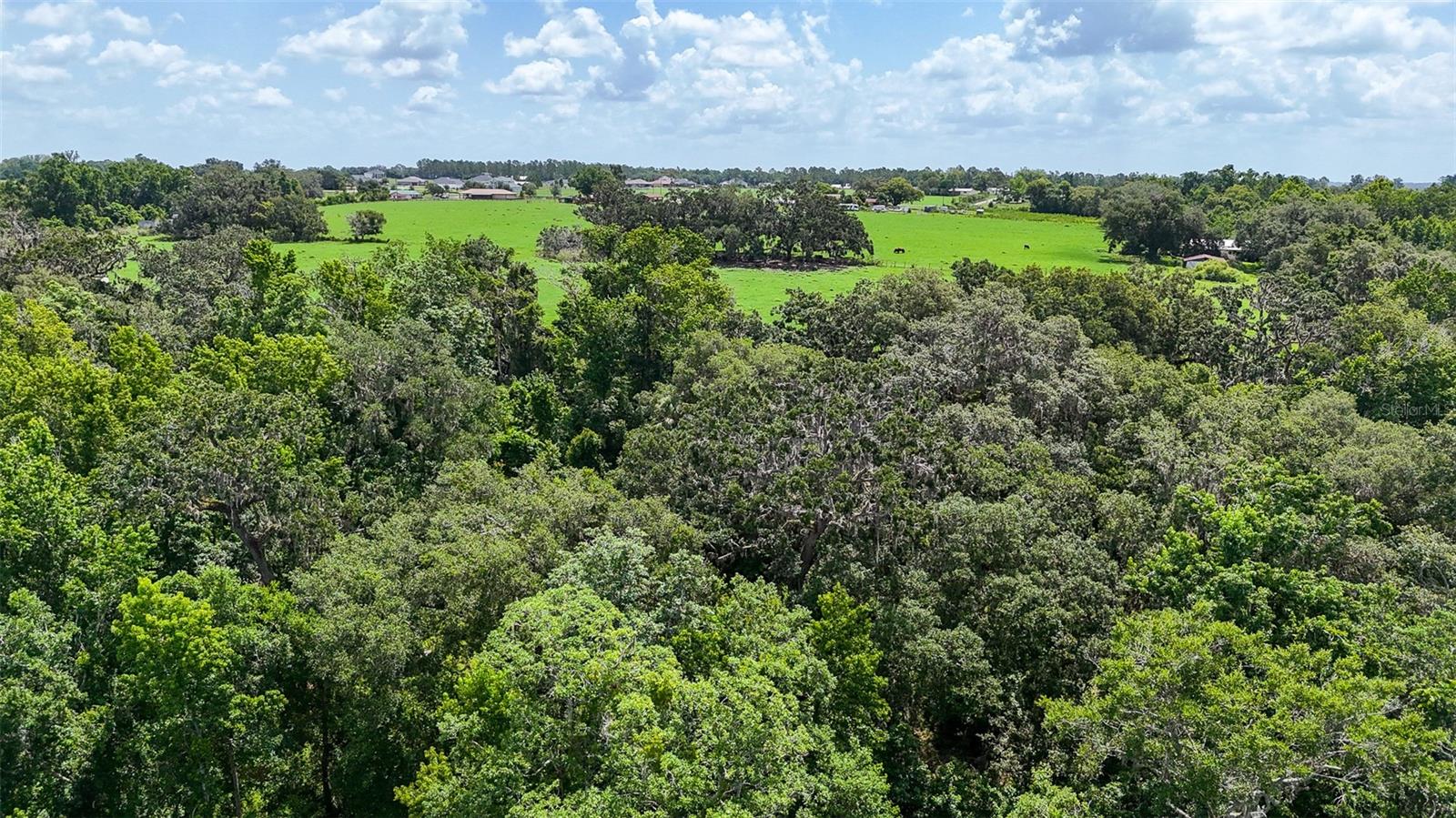 14409 Curley Rd Property Photo 10