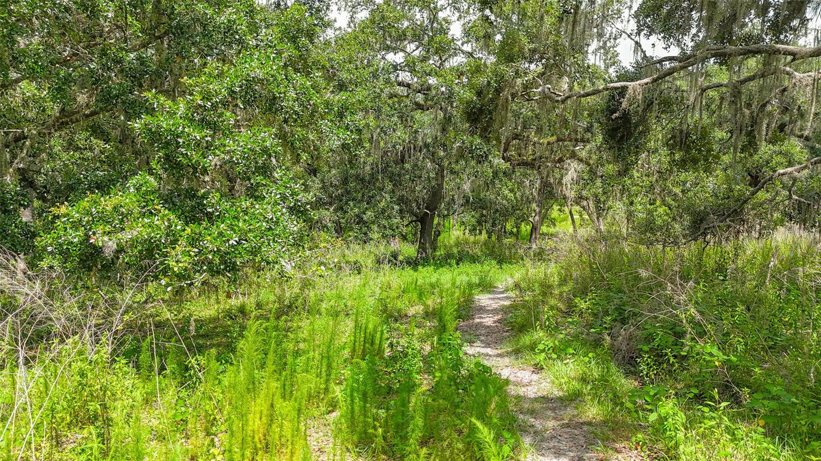 14409 Curley Rd Property Photo 11