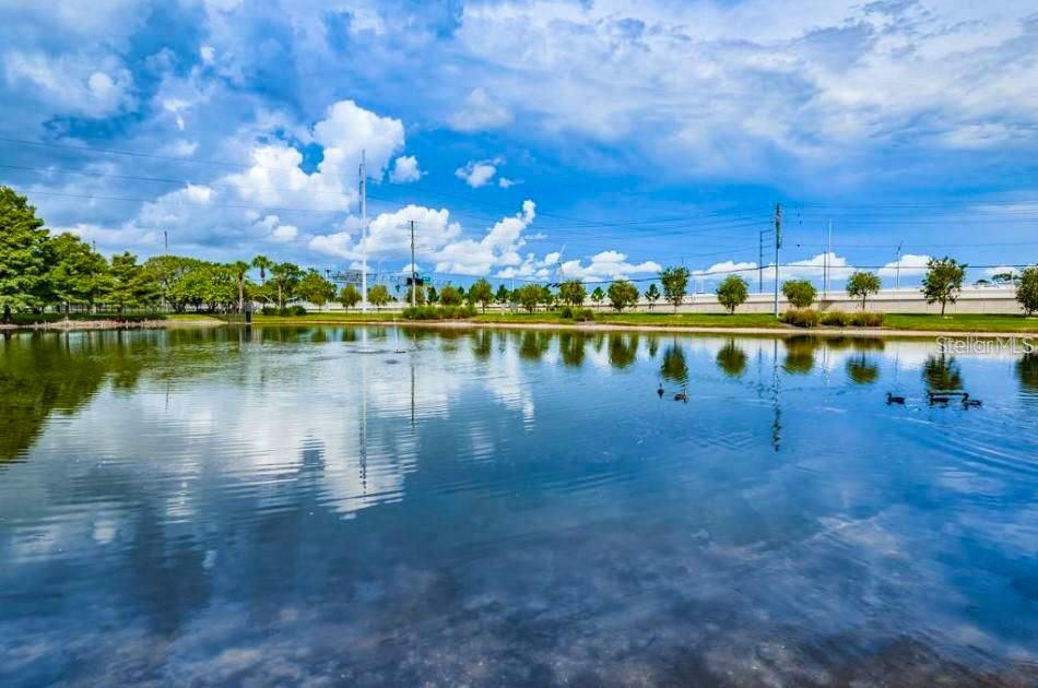 1400 Gandy Blvd N #1705 Property Photo 53