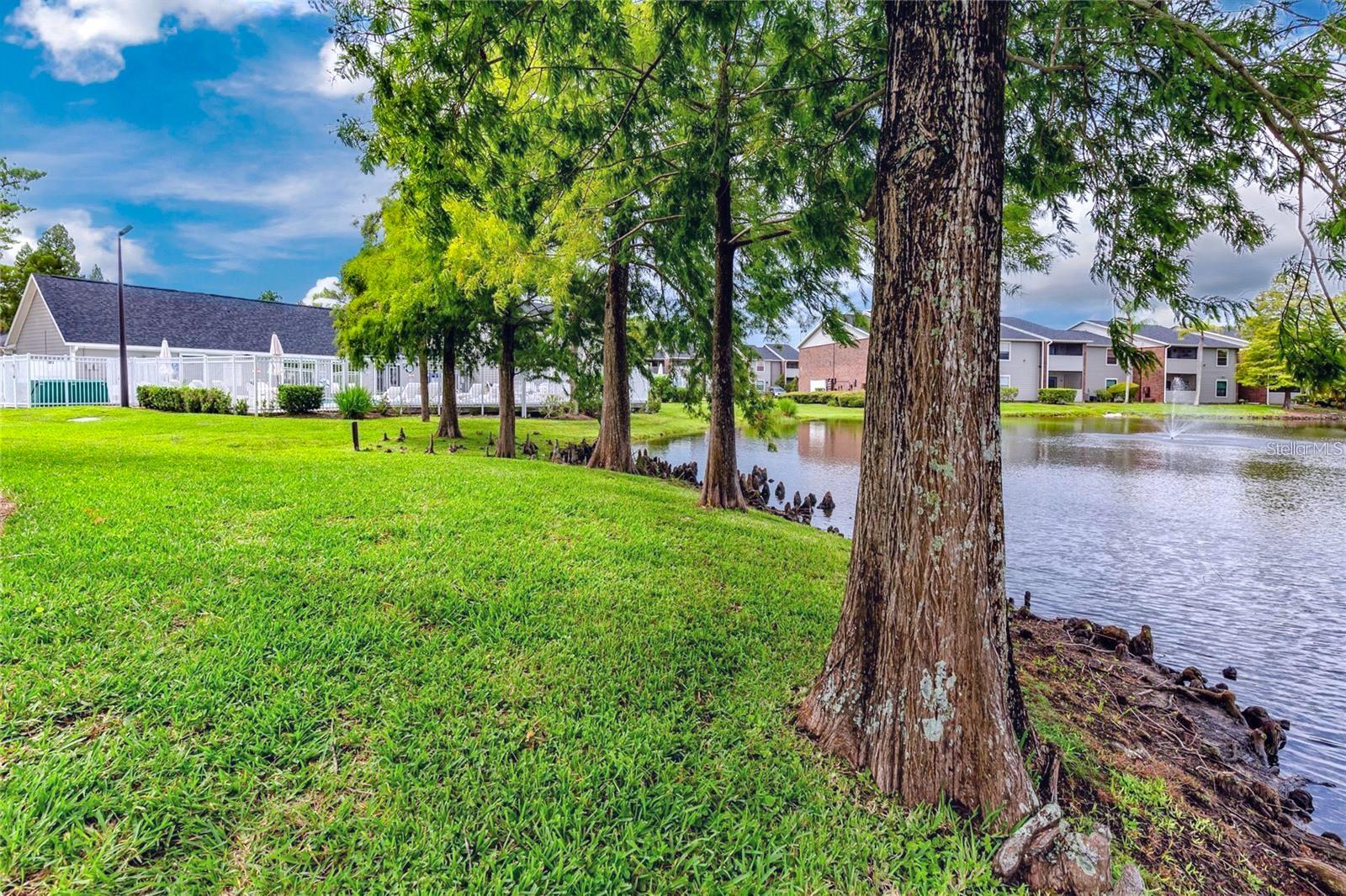 1400 Gandy Blvd N #1705 Property Photo 54