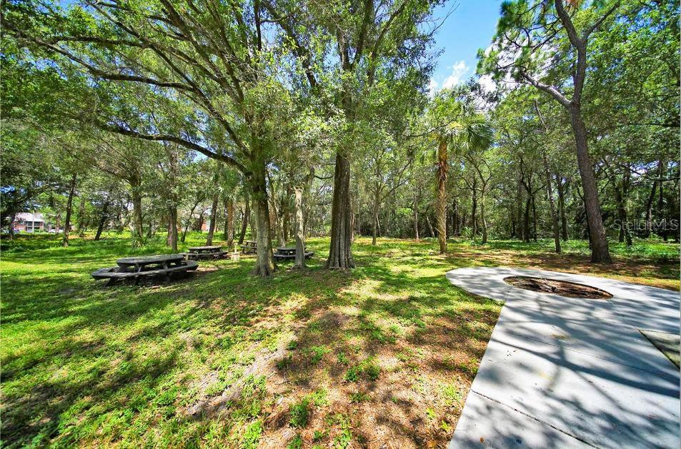 1400 Gandy Blvd N #1705 Property Photo 65